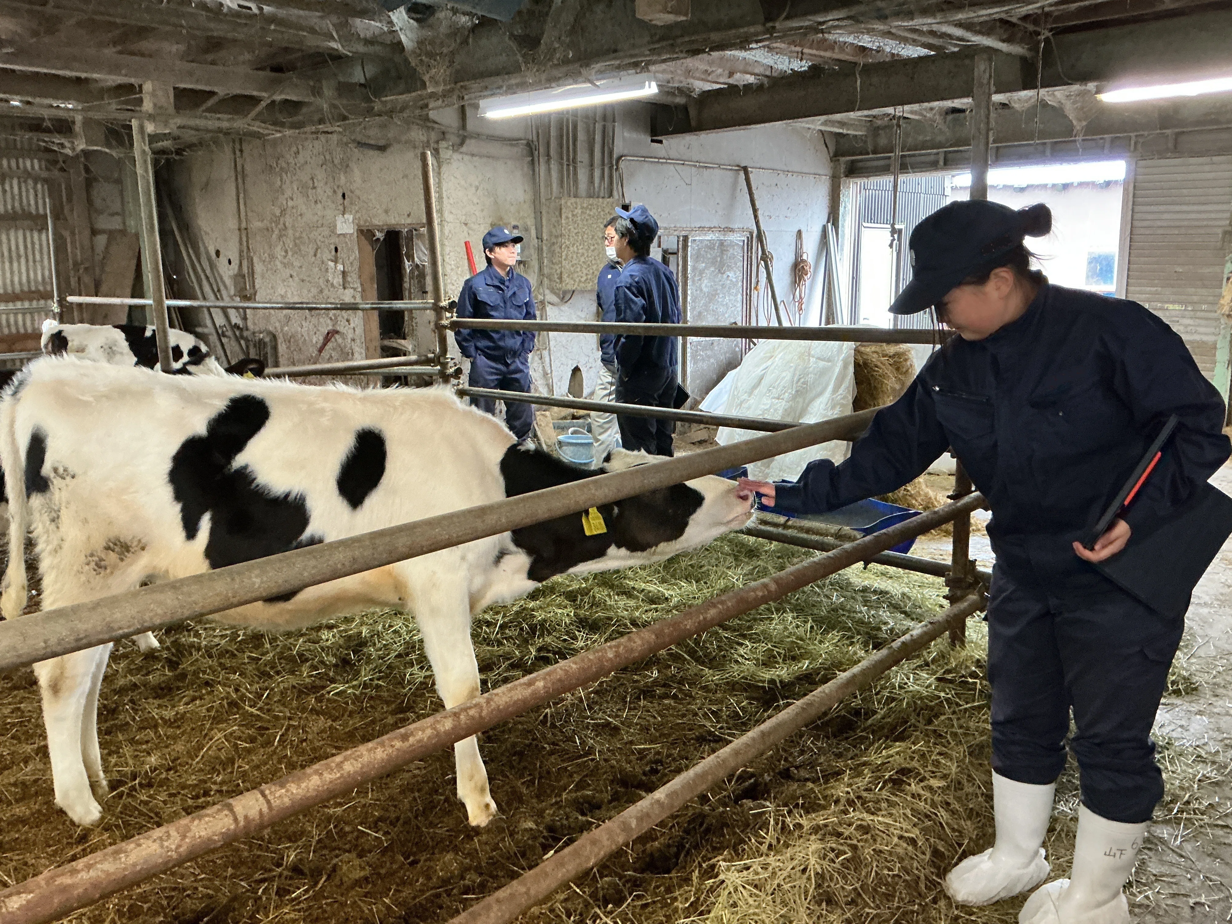 農業DX加速化推進事業～酪農家見学～｜新潟県立加茂農林高等学校
