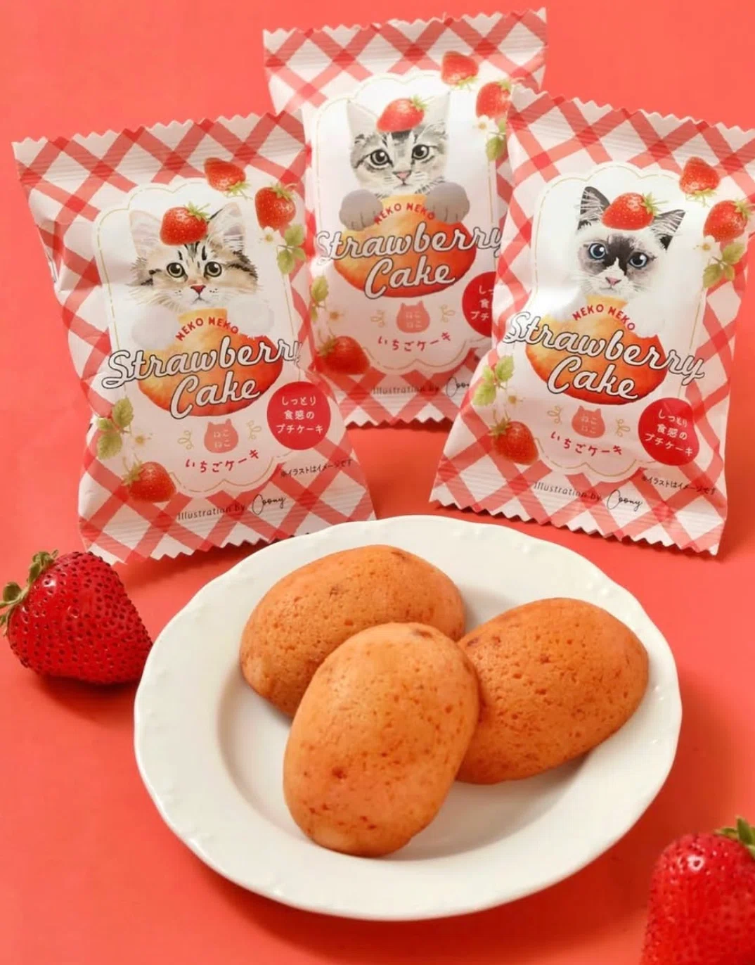 布を選ぶことが、自然と猫たちの幸せに。Coony✖️coccaのコラボ