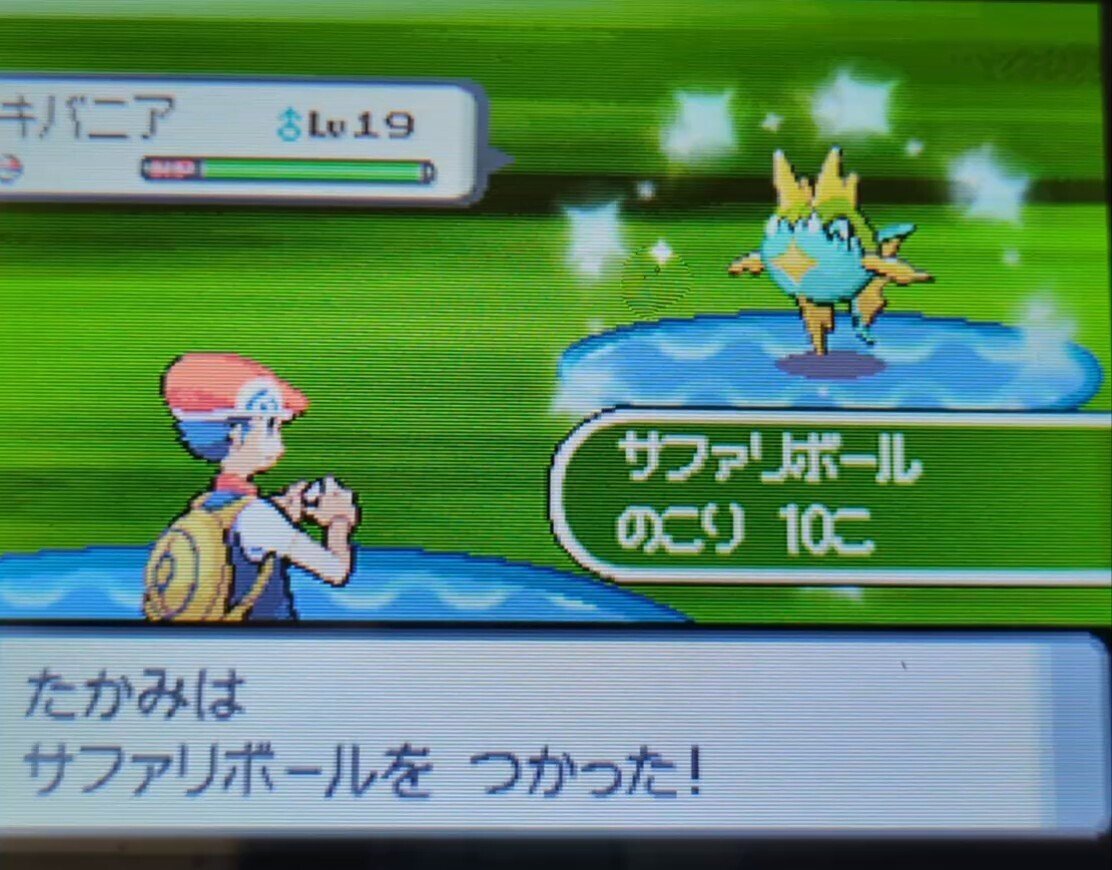 2025年の色違い粘り 総決算|ミミカス 2025年の色違い粘り 総決算|ミミカス