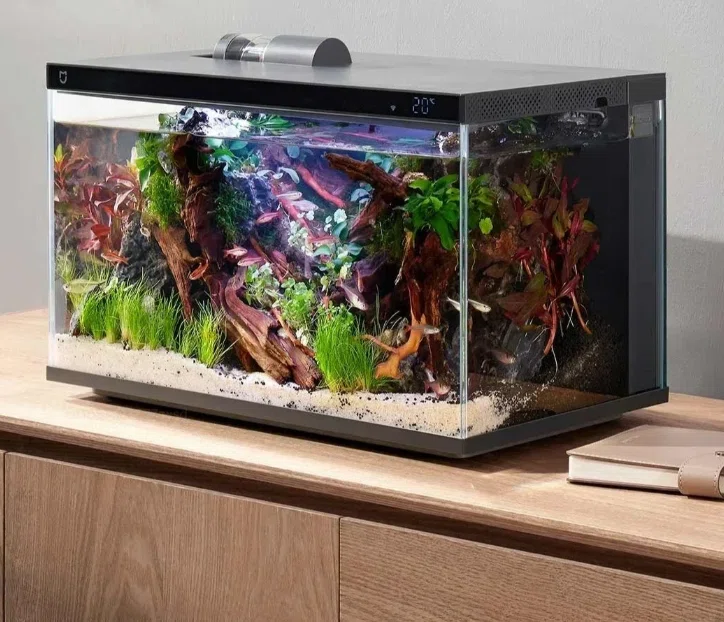 🏠【おうち水族館】子どもと楽しむ、スマートな癒やし生活はじめました