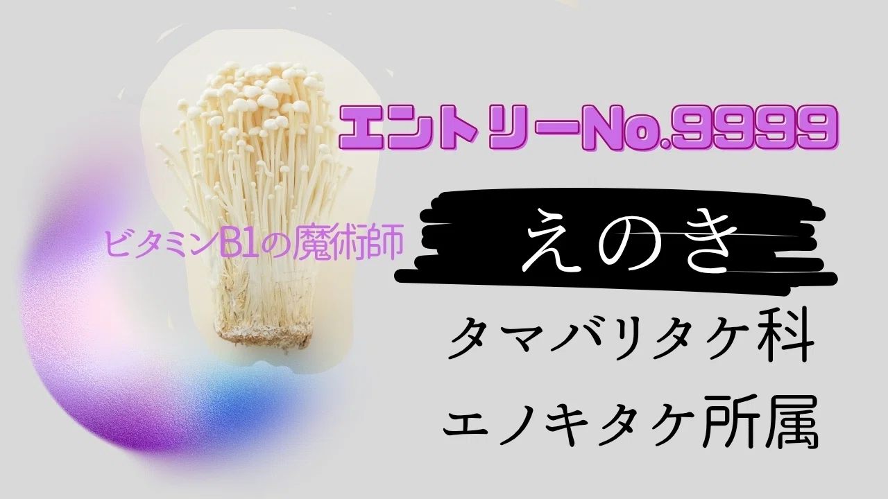 真実の口｜パンダイブ