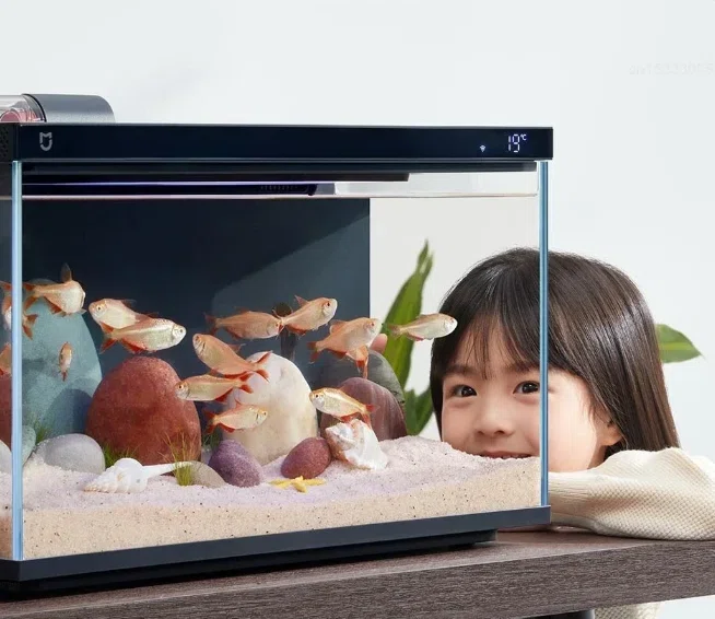 🏠【おうち水族館】子どもと楽しむ、スマートな癒やし生活はじめました