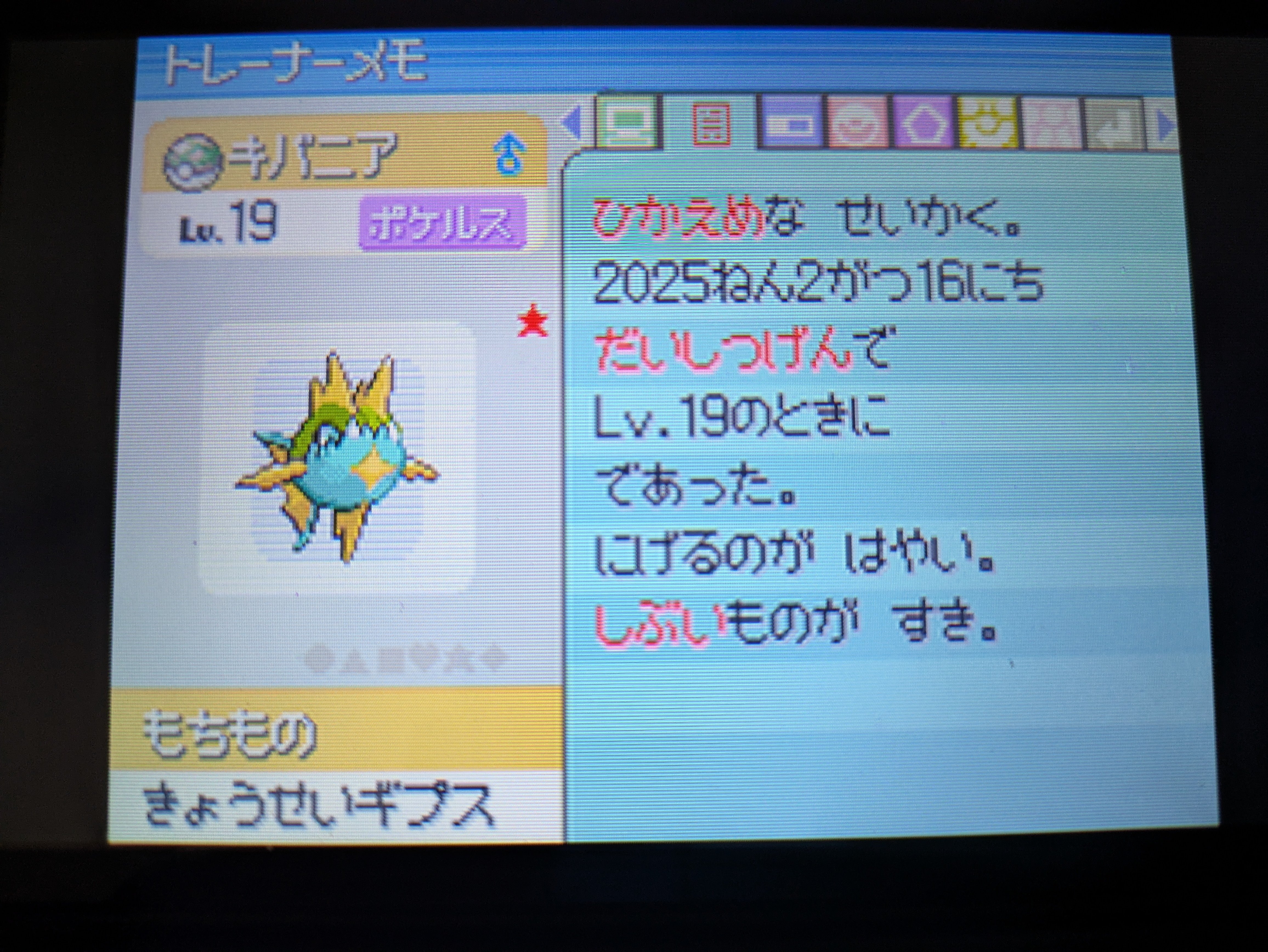 2025年の色違い粘り 総決算｜ミミカス