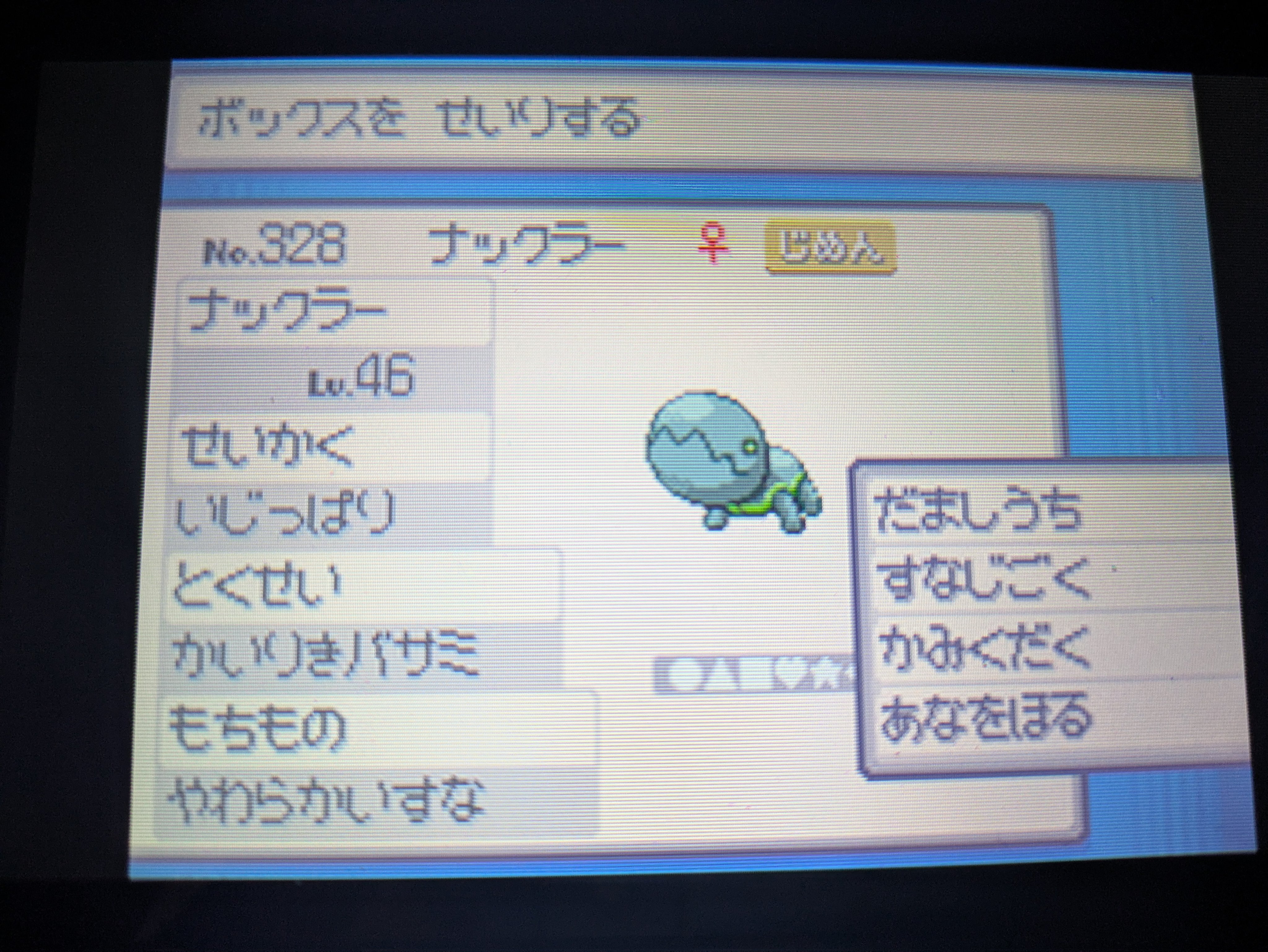 2025年の色違い粘り 総決算｜ミミカス