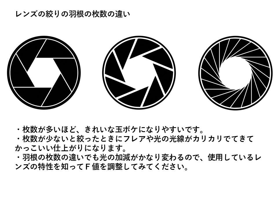 なまけもの　写真のYとG-450値引き なまけもの 写真のYとG-450値引き 6550 なまけもの：おもちゃ：百町森