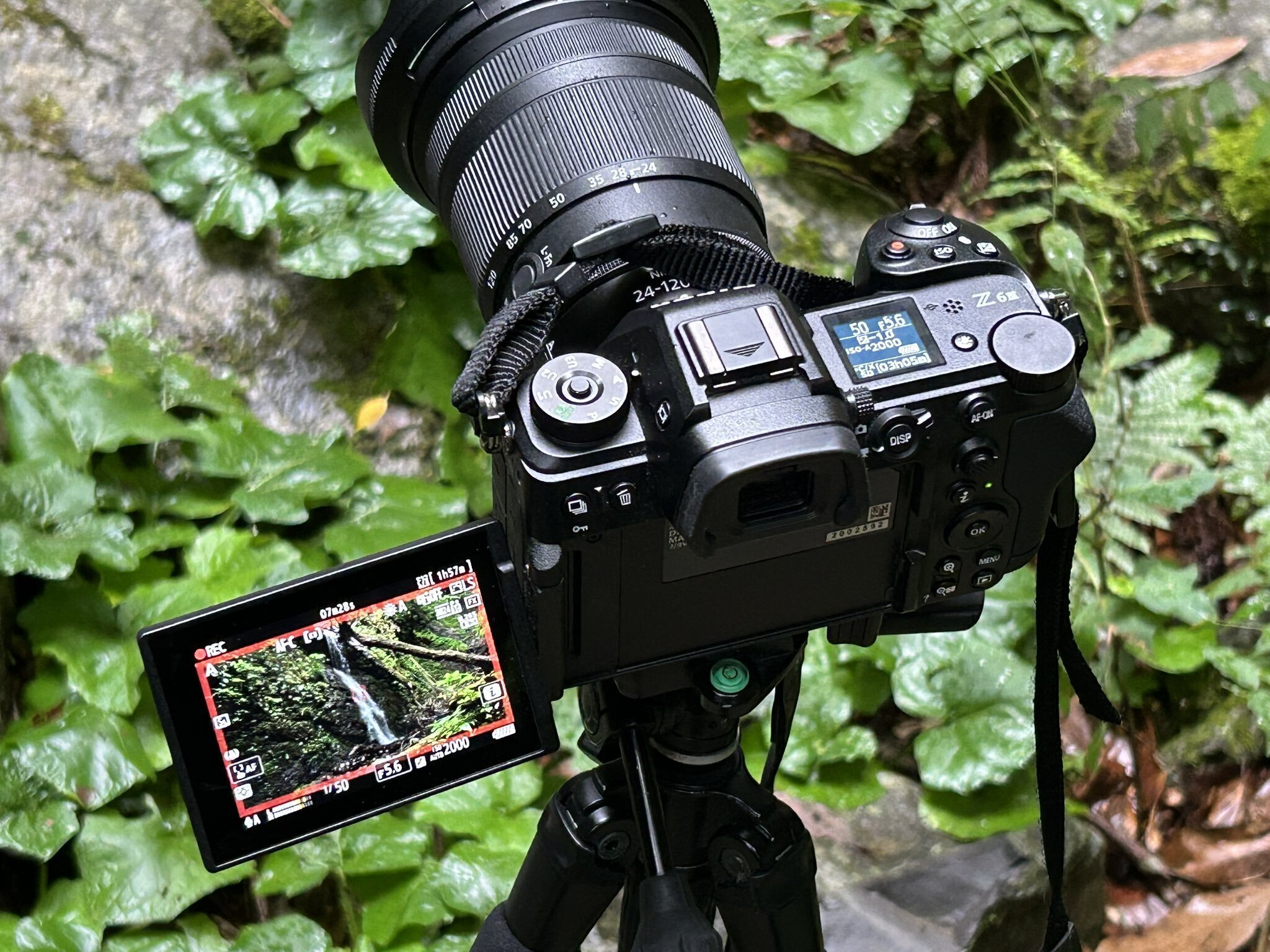雑談】2025年ニコン機材のお話｜平乃ひら