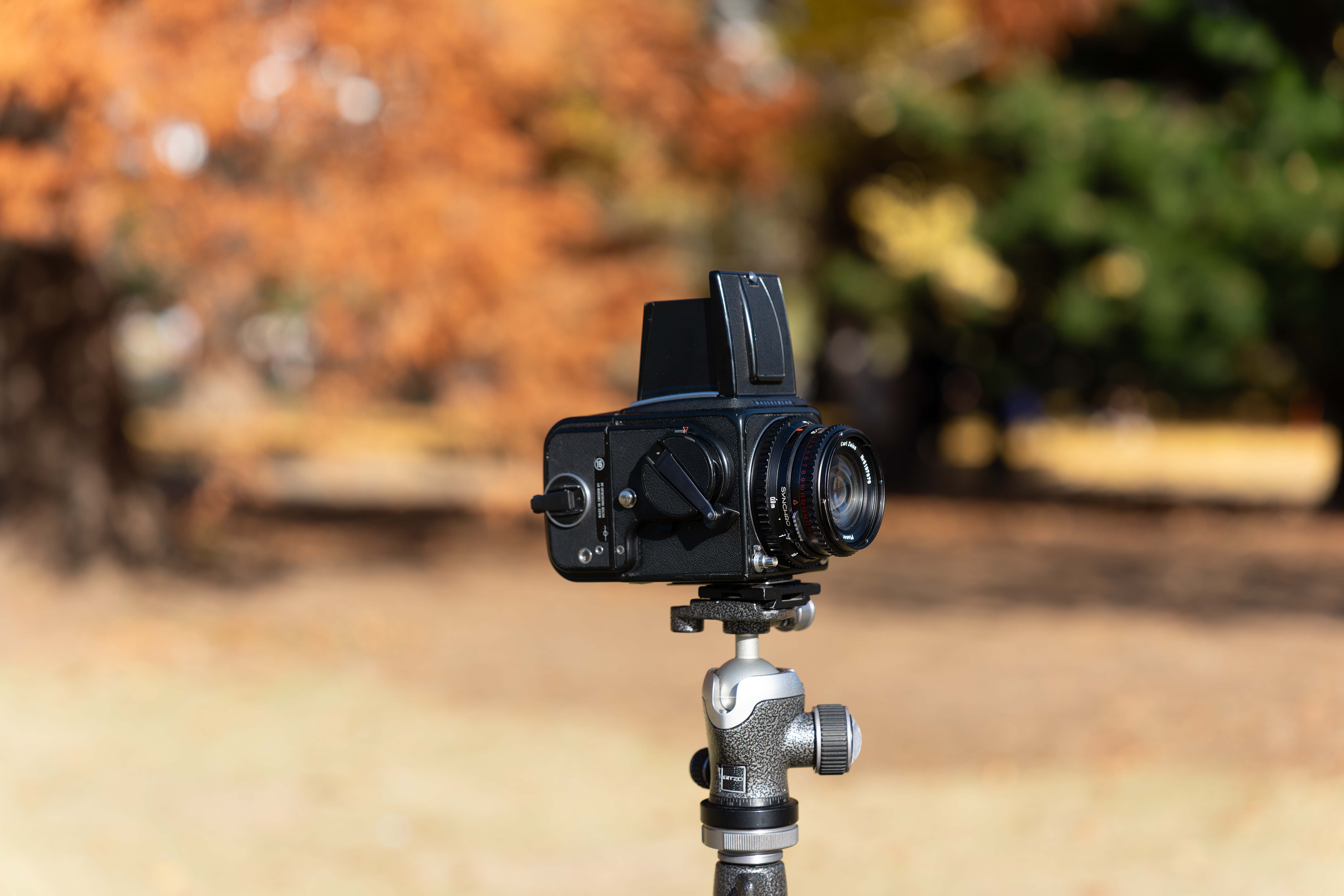 フィルムカメラ Hasselblad 500C/M Planar 80mm Hasselblad 500C/M + Planar 80mm f2.8 + A12 – FLASHBACK CAMERA