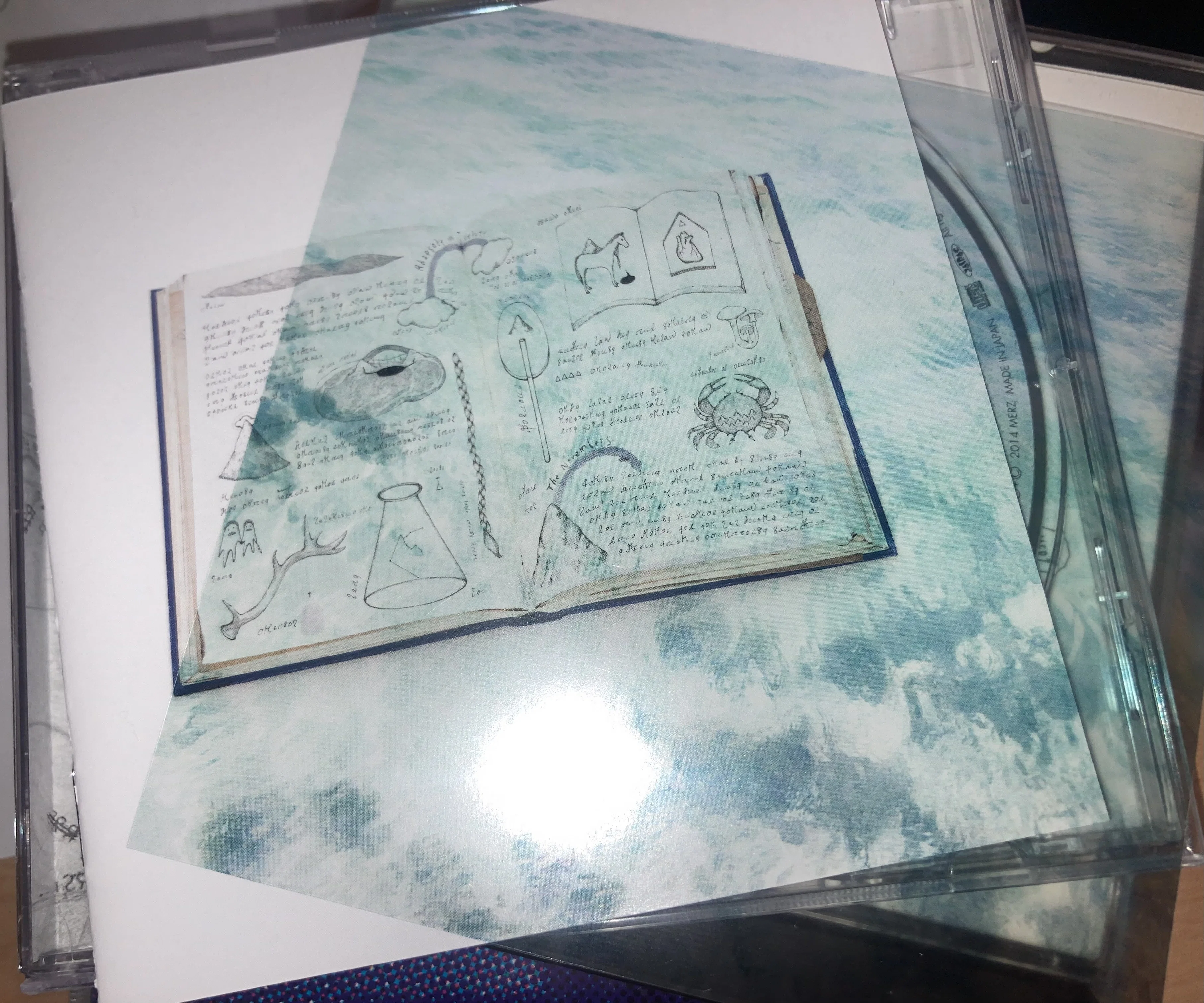 ノベンバのノイズ・アルバム THE NOVEMBERS/Rhapsody in beauty