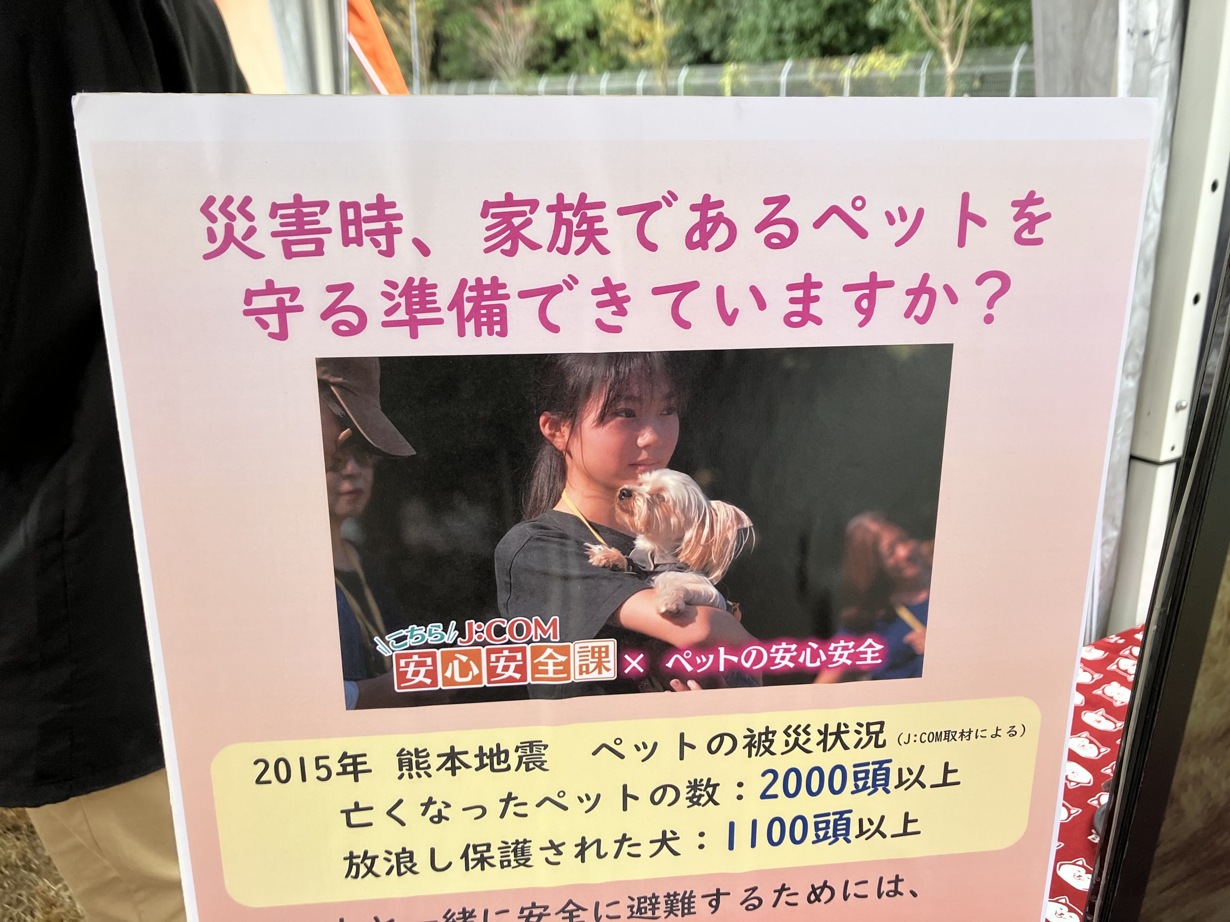 ぺいちゃんページ 横浜市】イベントでペットの安心安全を伝えます🐶（告知）｜J:COM地域
