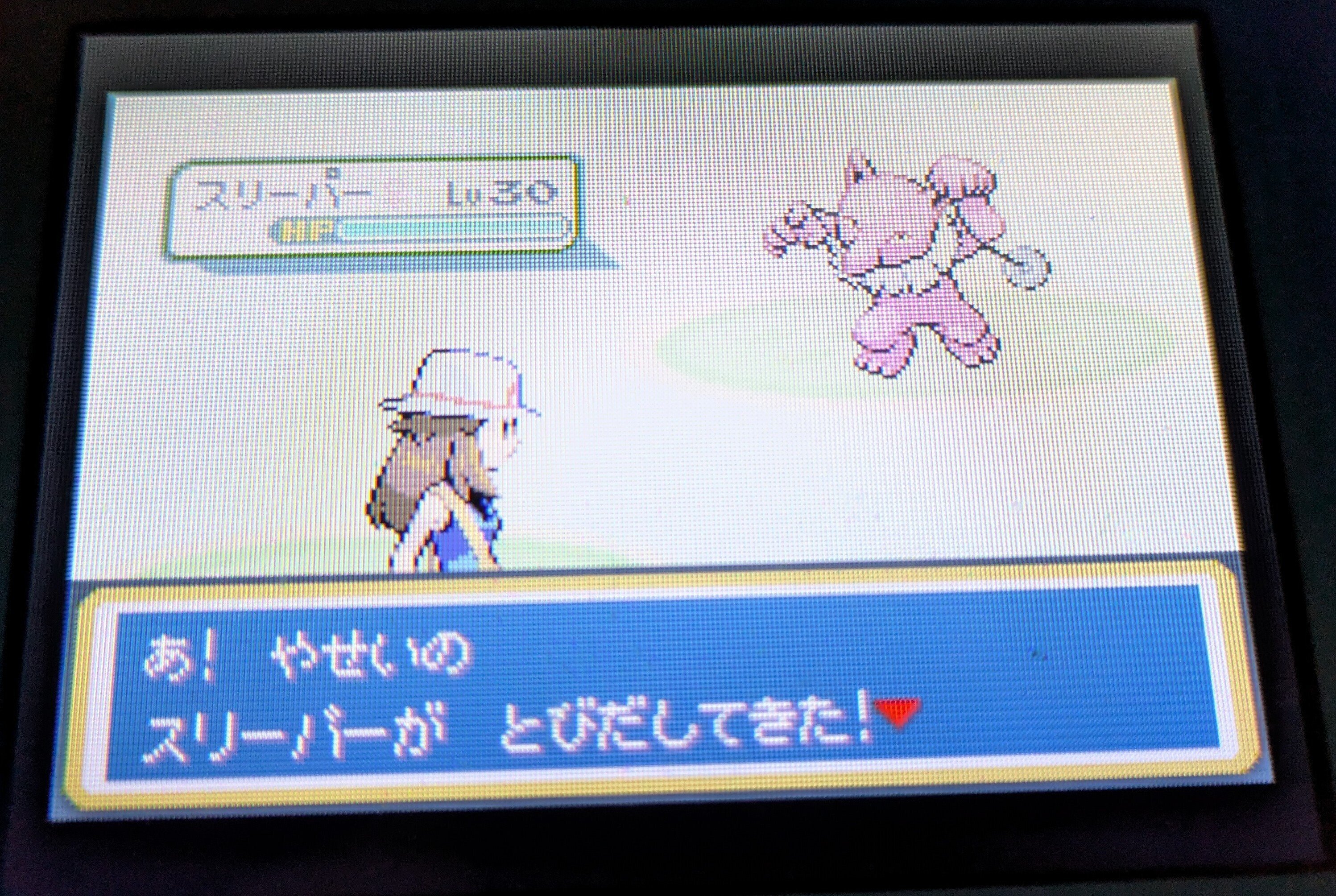 2025年の色違い粘り 総決算｜ミミカス