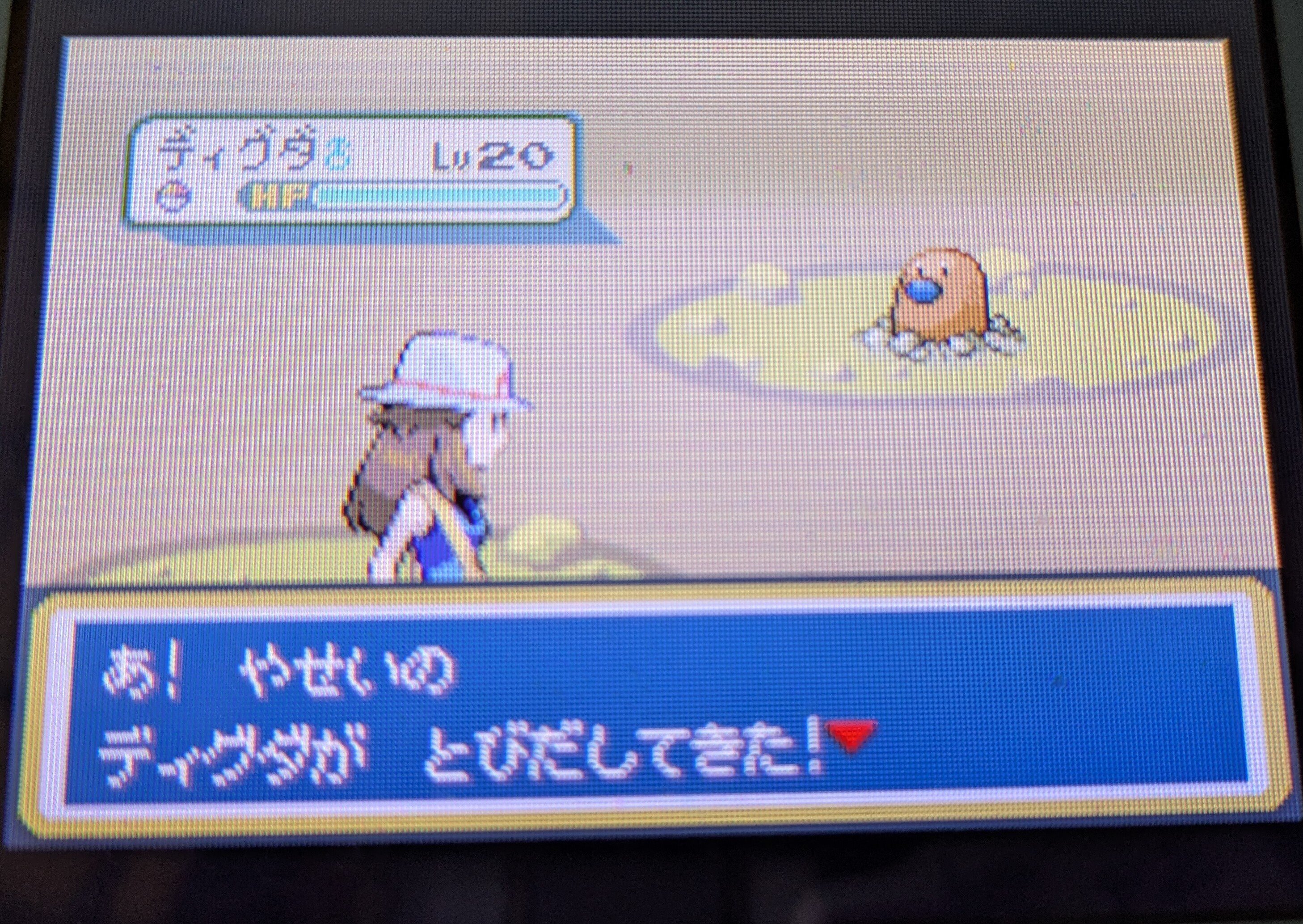 2025年の色違い粘り 総決算｜ミミカス