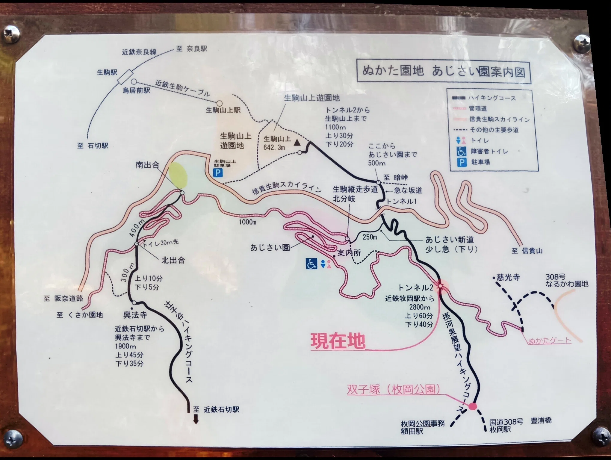 低山ハイク｜青空・落葉、生駒山。枚岡神社、摂河泉コース、生駒山上