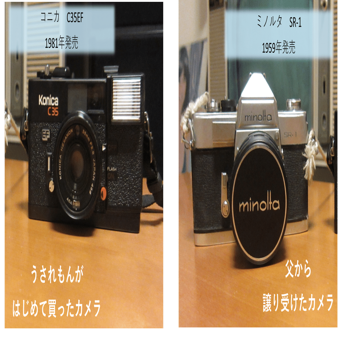 懐かしのフィルムカメラ📷の巻｜うされもん