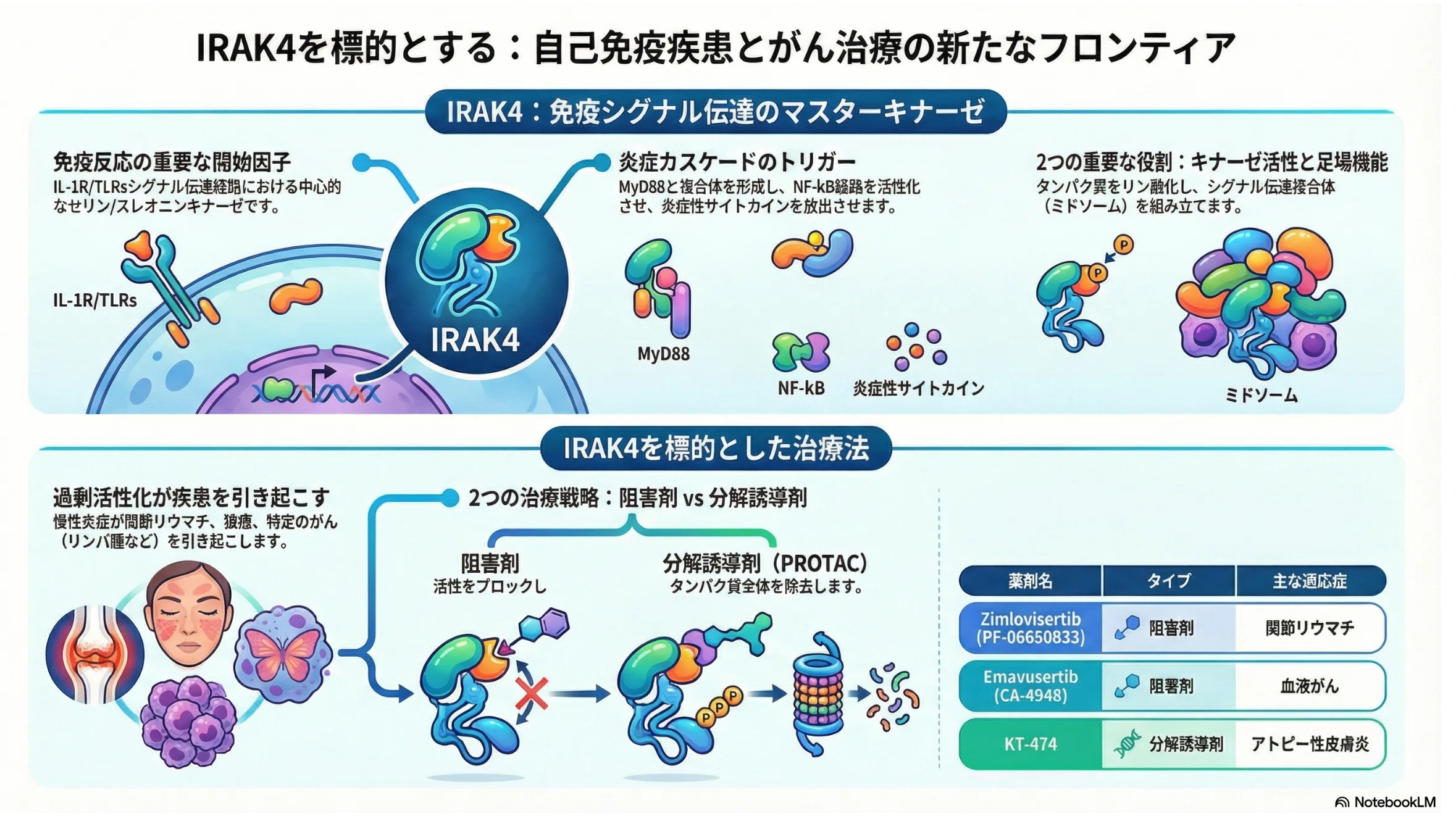 インターロイキン-1受容体関連キナーゼ4（IRAK4）標的治療｜Makisey