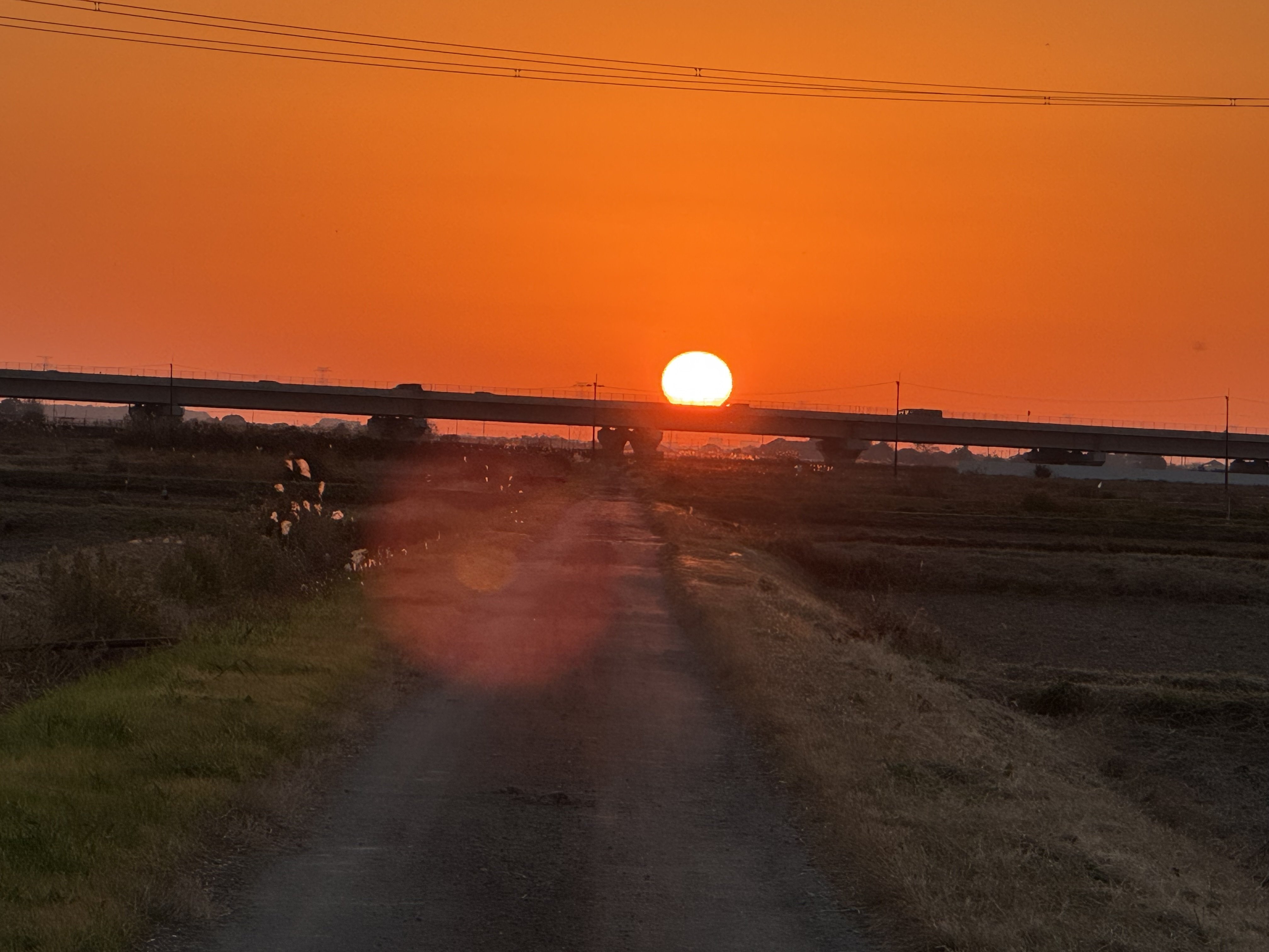 16時19分の夕日｜Hiroki Mochida