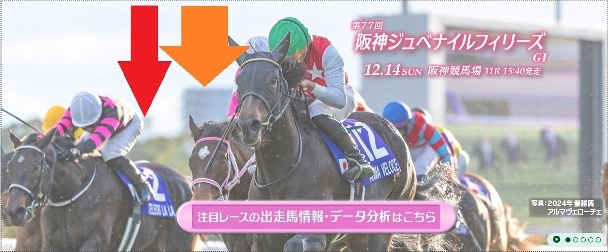 阪神ジュベナイルフィリーズ2025 サイン馬券Part2｜JRAホームページの