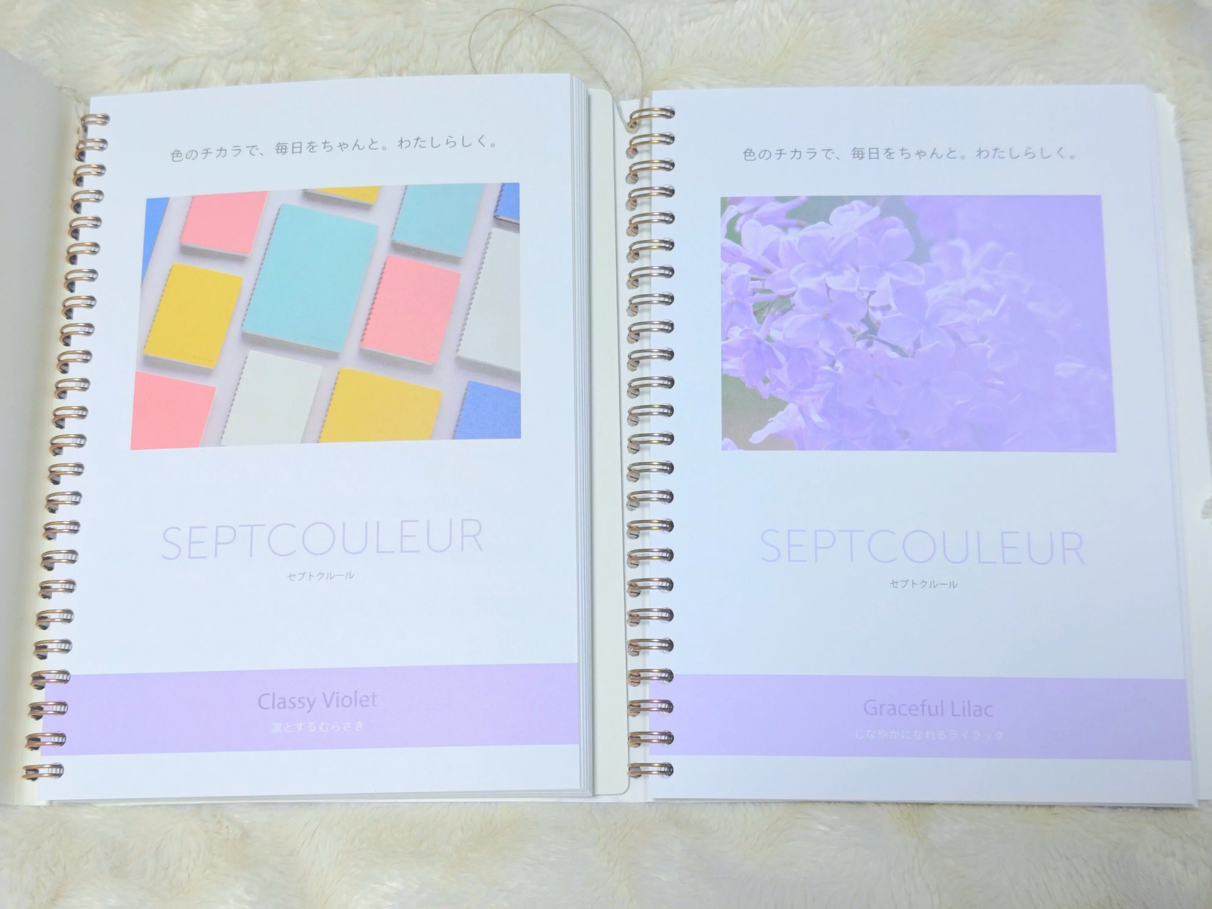 購入品】セプトクルール｜蒼幻しいか