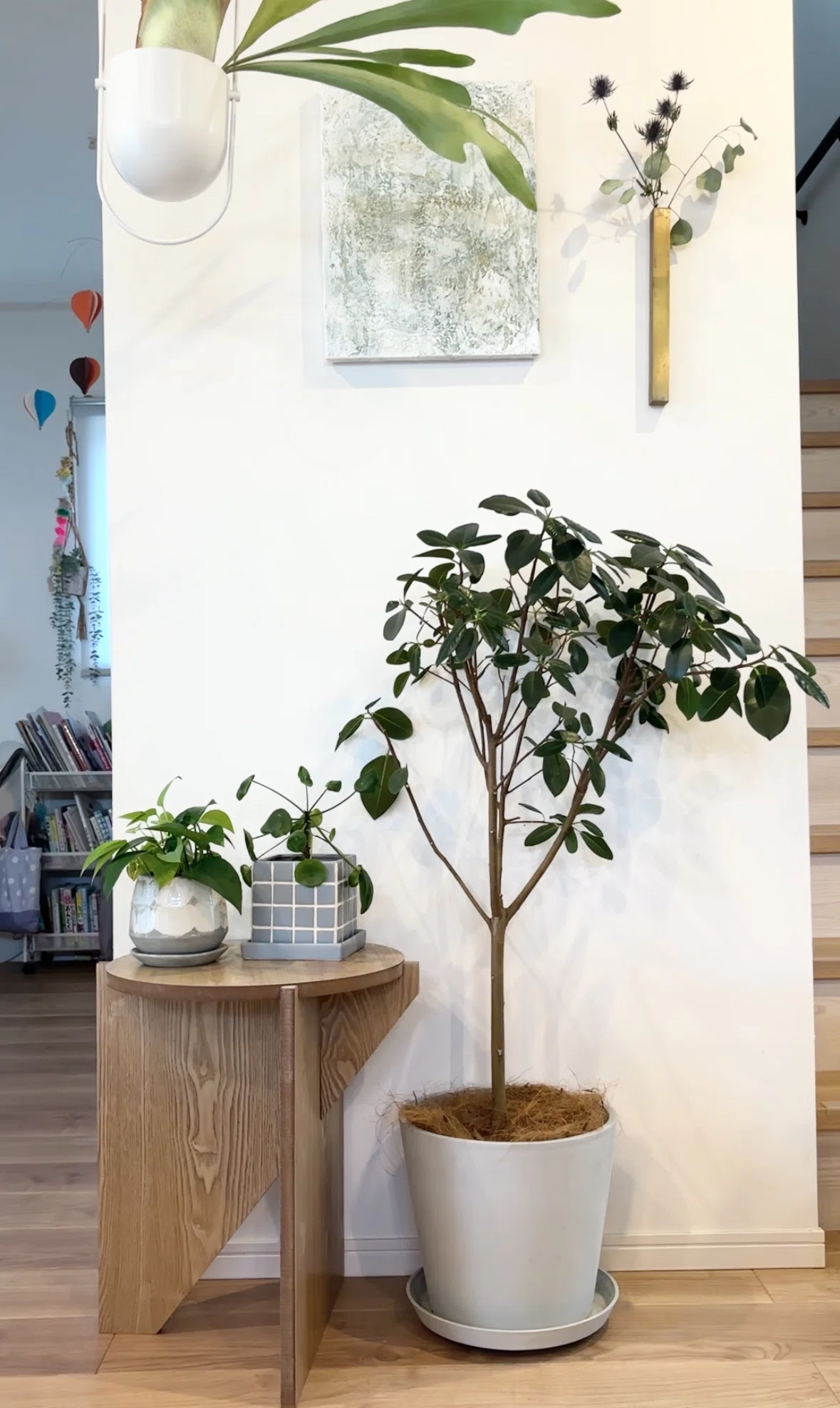 02 1つだけ観葉植物を置くなら？#気楽に植物と暮らす｜otama Voicy