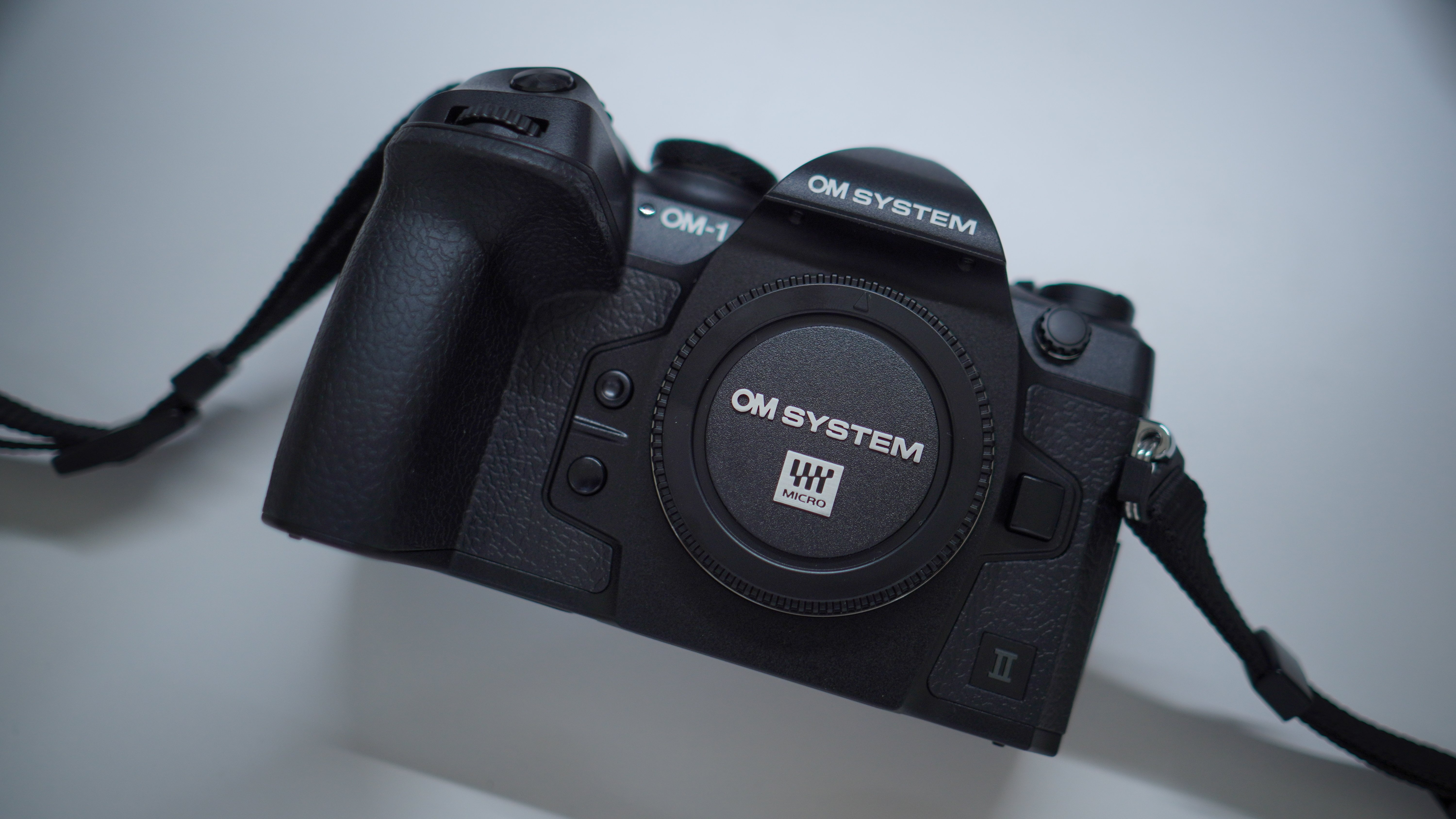 OM-1 Mark II + 100-400mm II』で初心者が野鳥撮影に挑む！【実写