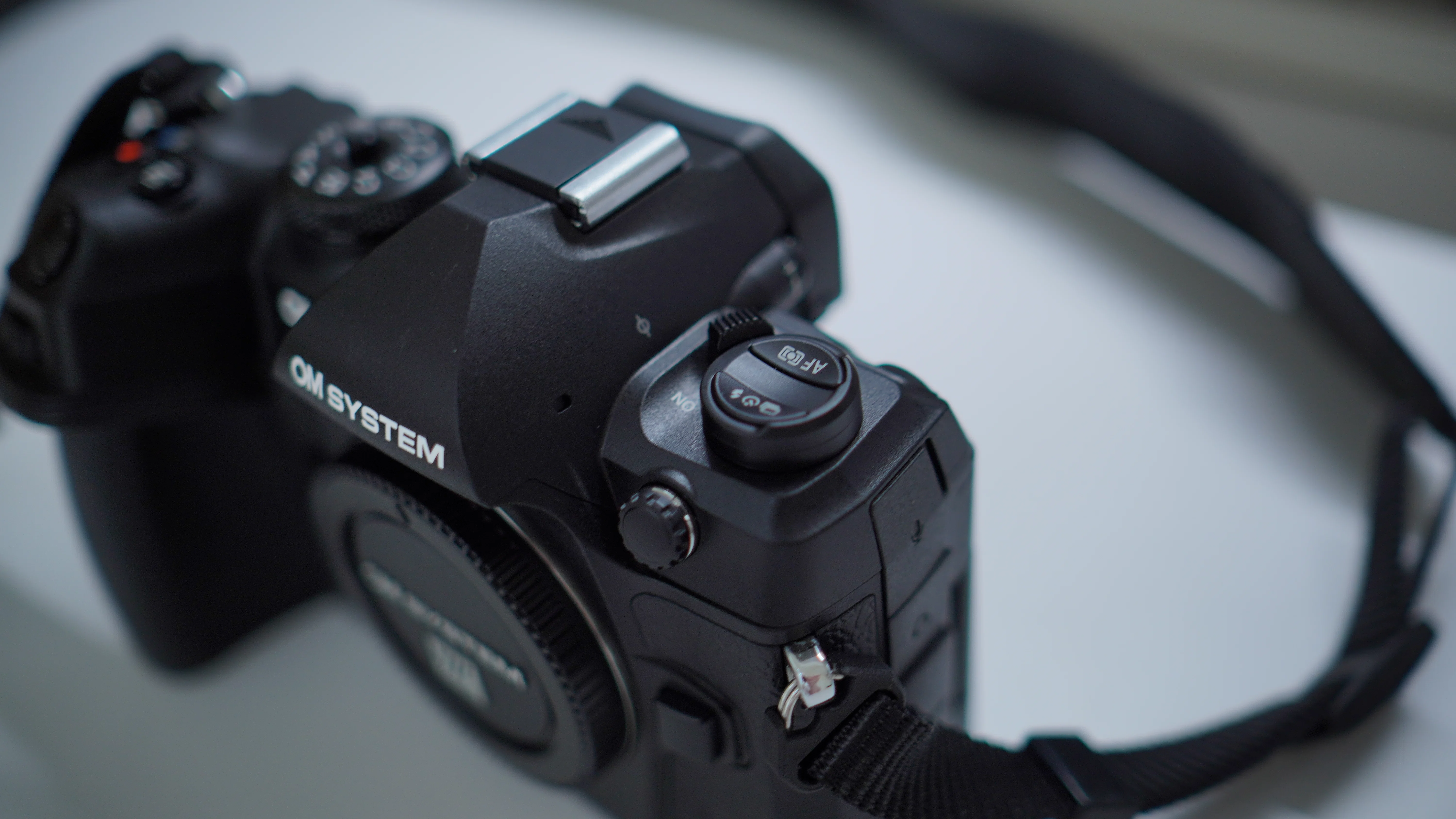 OM-1 Mark II + 100-400mm II』で初心者が野鳥撮影に挑む！【実写