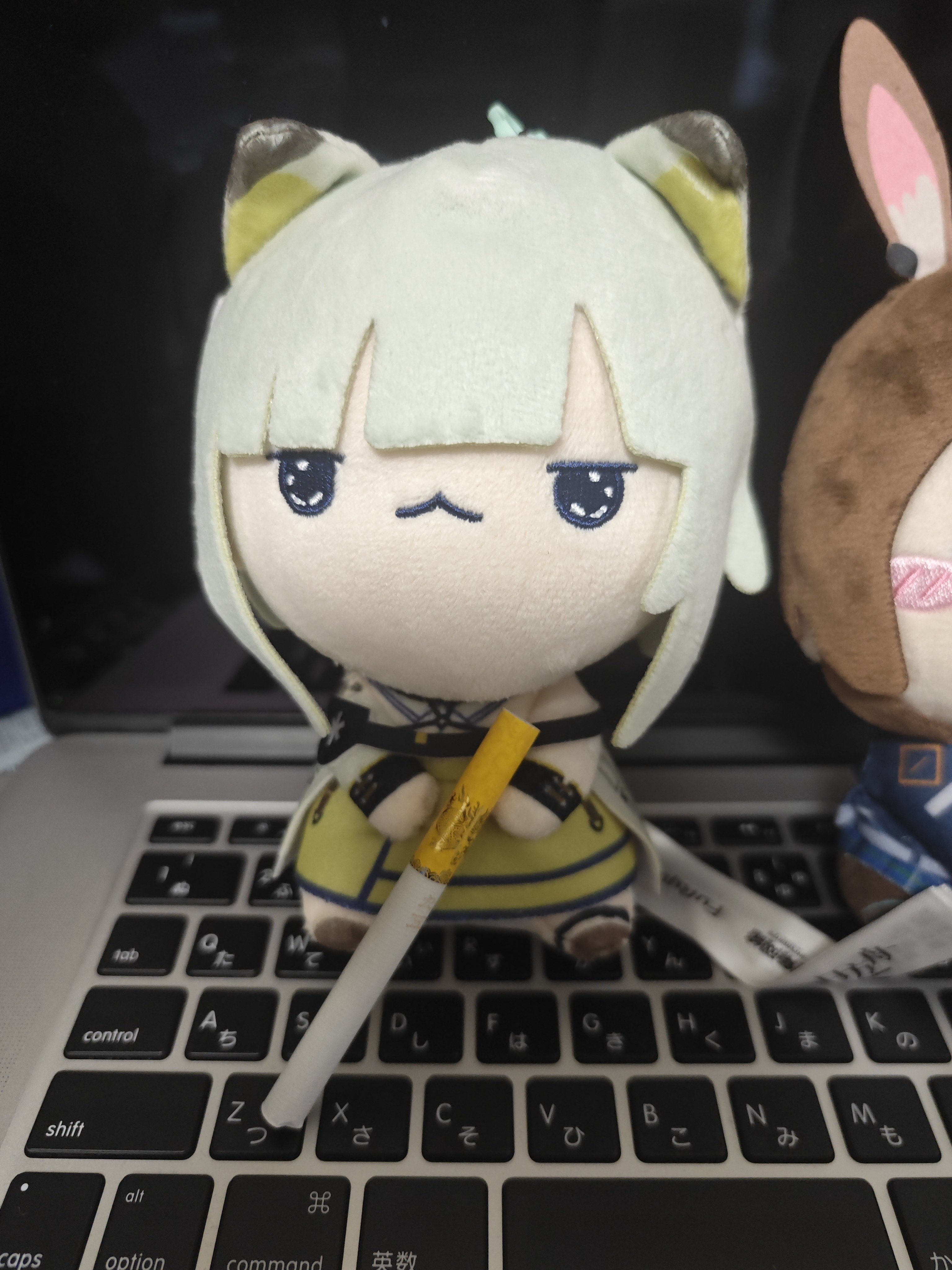 ぜひ行ってほしい、海外のオタクショップ【中国・上海編】｜梦月