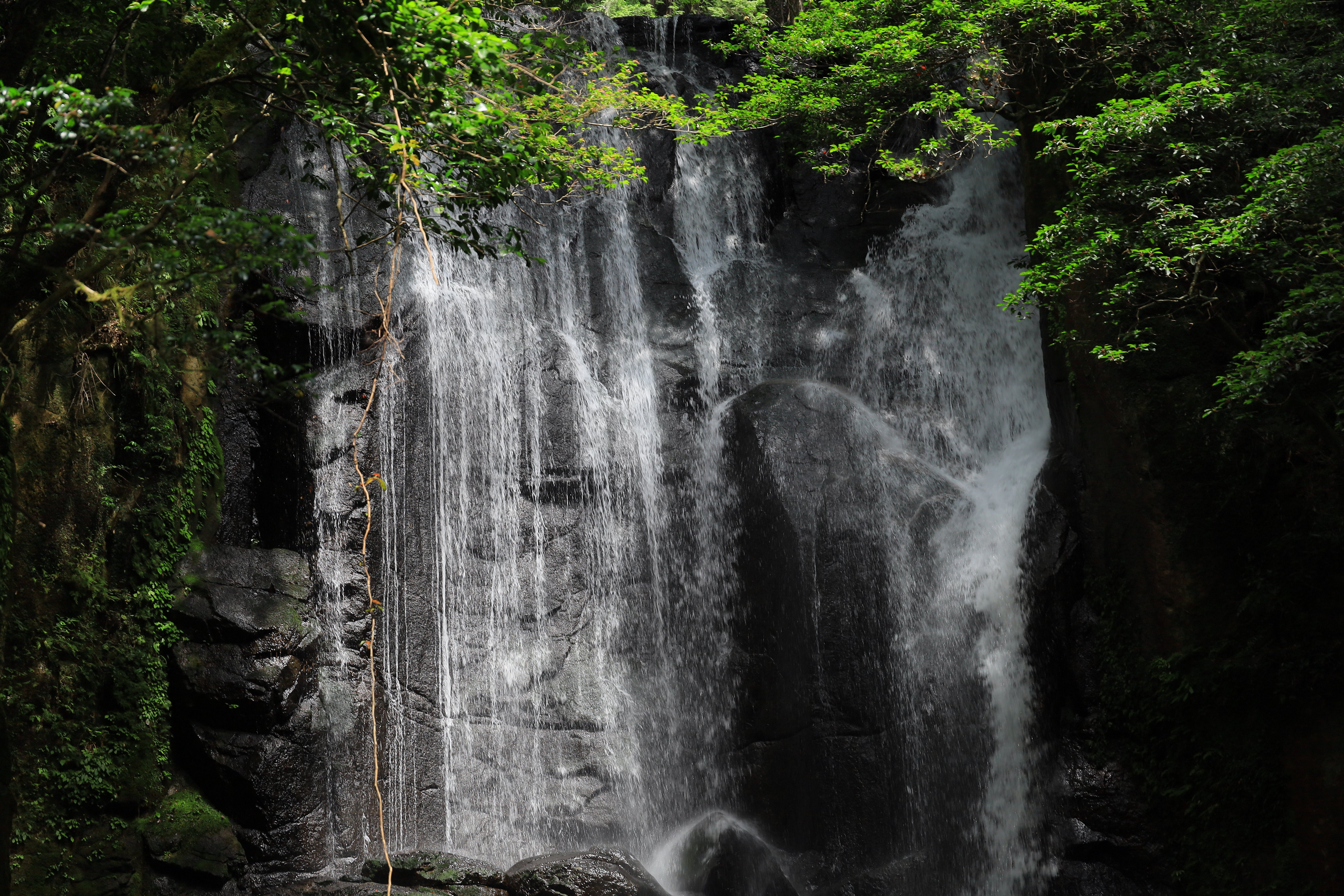 熊野に行くならここに行け epi.2/50 ｢桑ノ木の滝｣｜cool な kumano