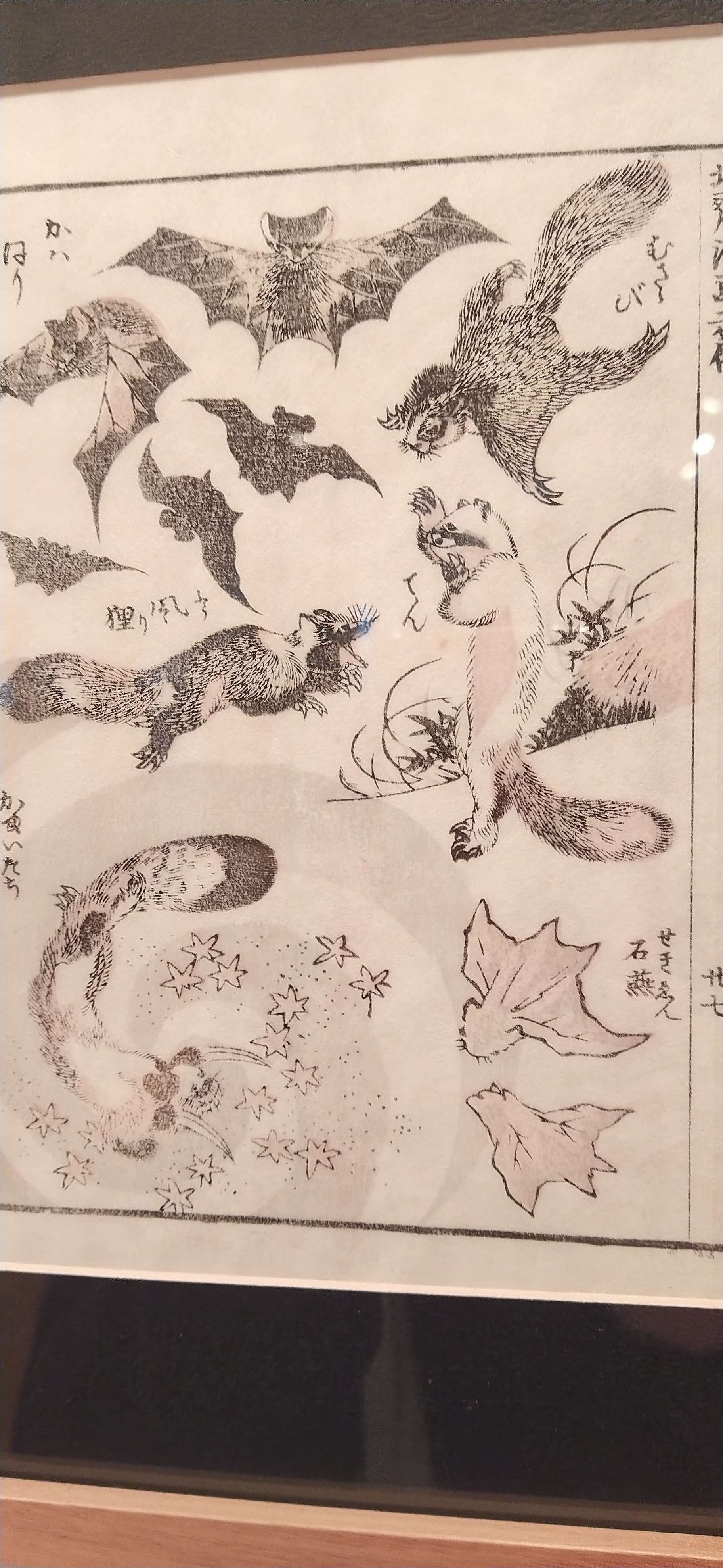 北斎漫画展」愛媛でもやってるよー！｜うぱ山 バコパ