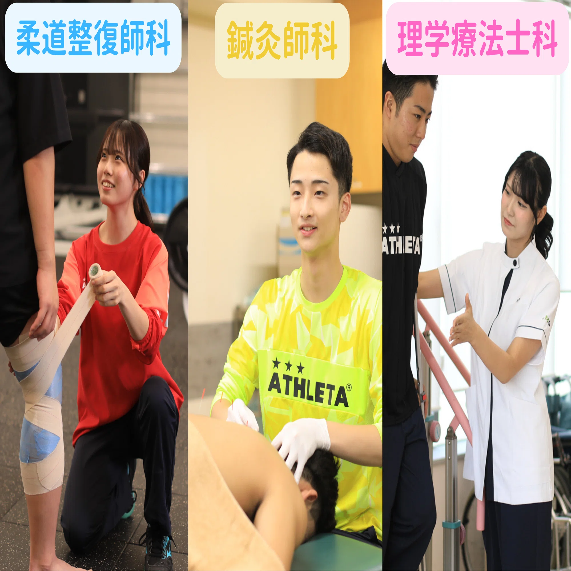 スポーツトレーナーを目指すなら東京メディカル・スポーツ専門学校へ