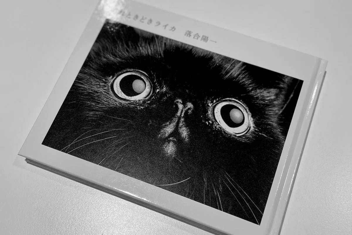 落合陽一 写真展 「 晴れときどきライカ ─ 逆逆たかり行動と