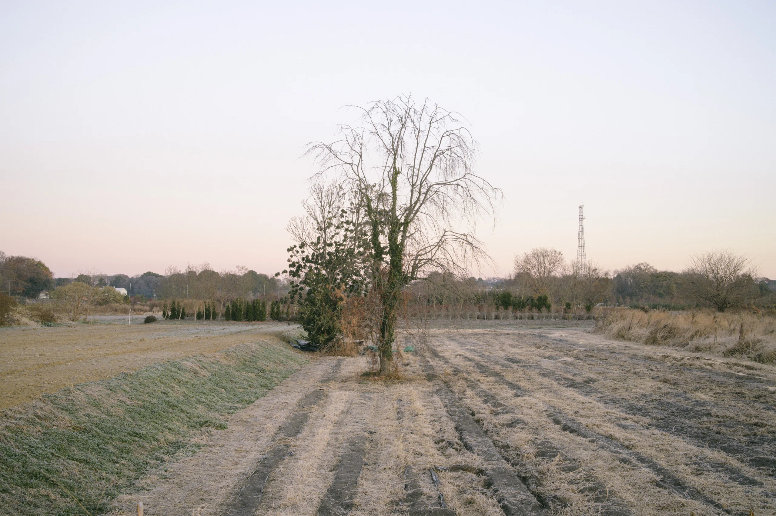 ※参考例※写真の記録・保存に関して one day photo_56_出来事と写真における内容と形式の話｜redsugar