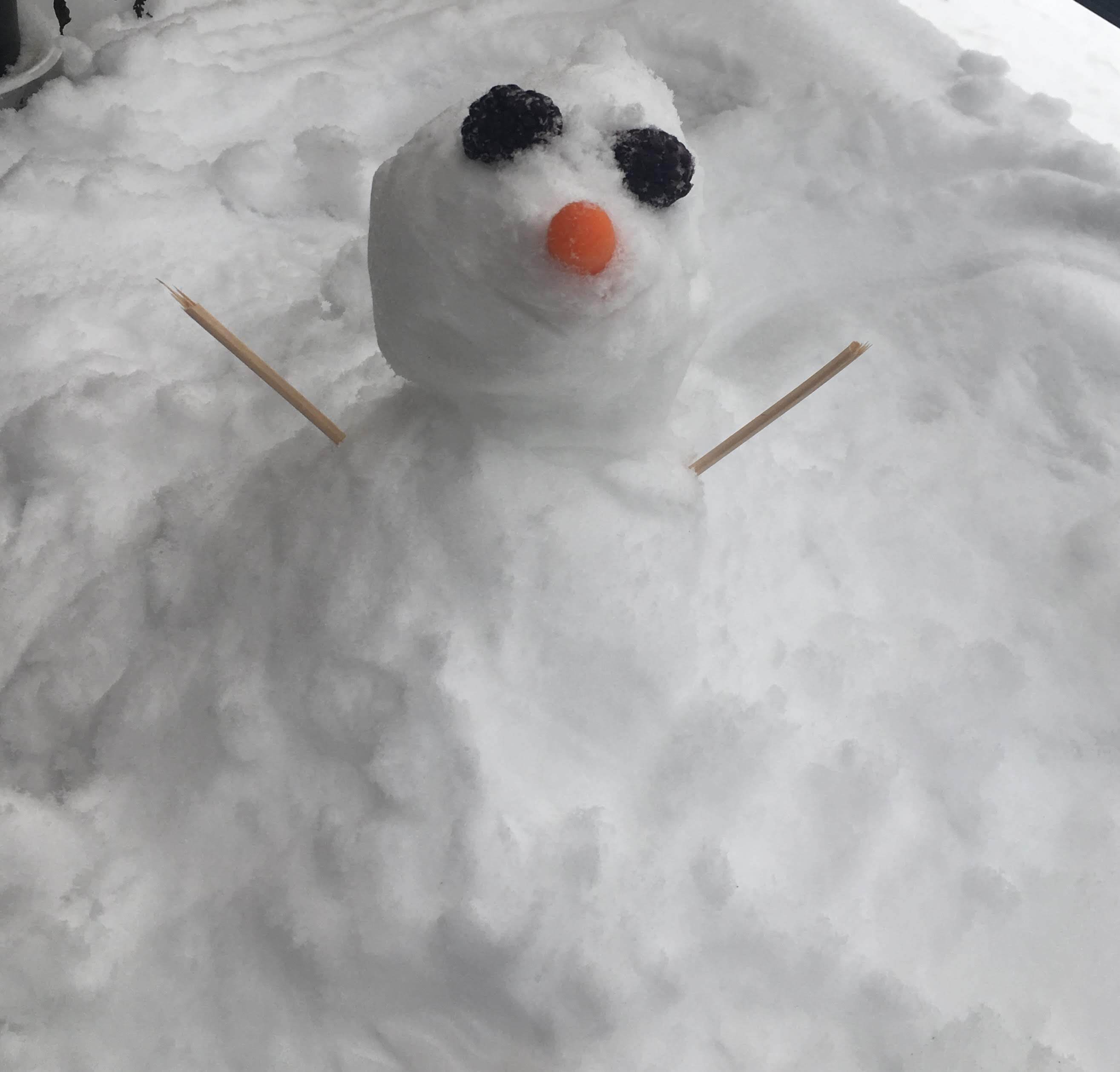 雪だるまページ 雪だるま Snowman｜メイP子🐝