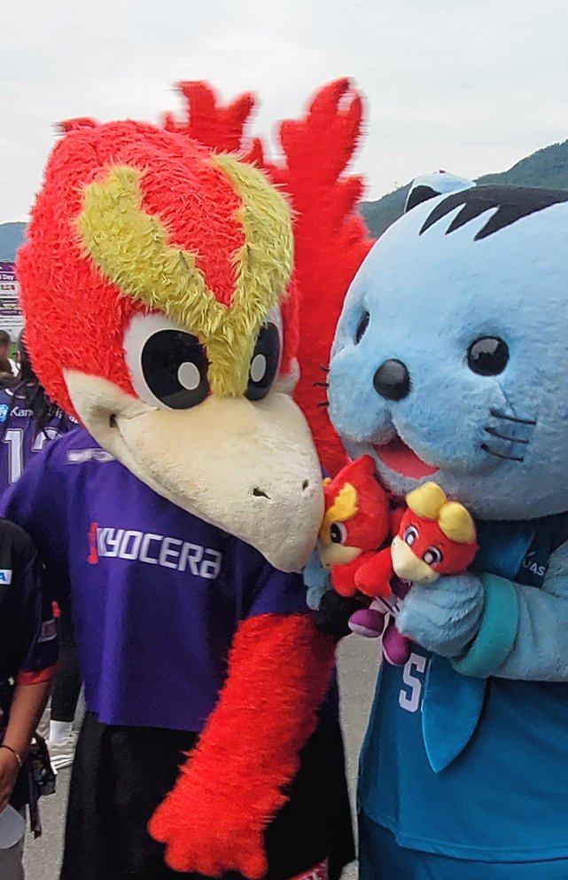 2025京都サンガF.C.シーズンレビュー ～ パシュート・リレー ～｜京右衛門