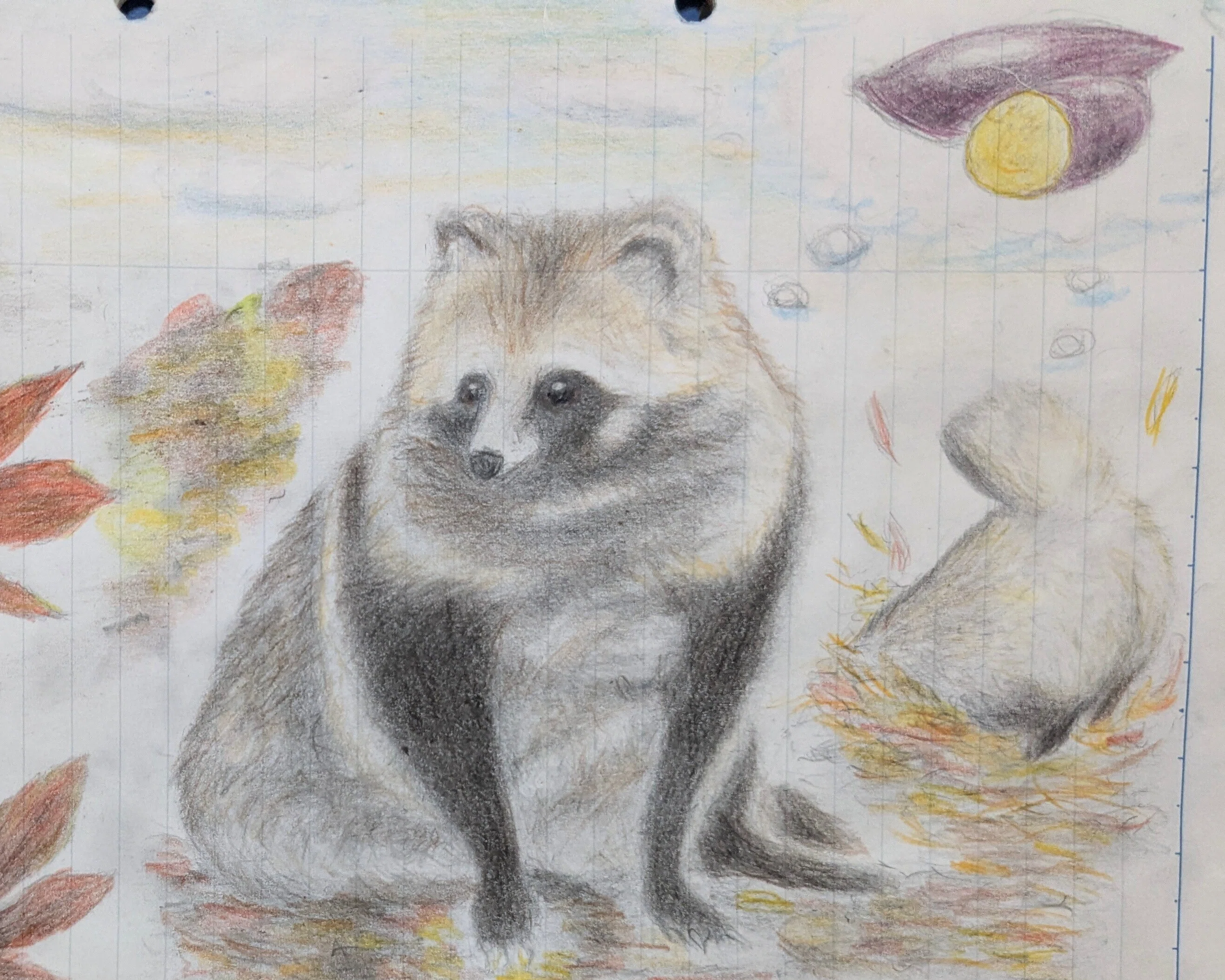 Tanuki Illustration 