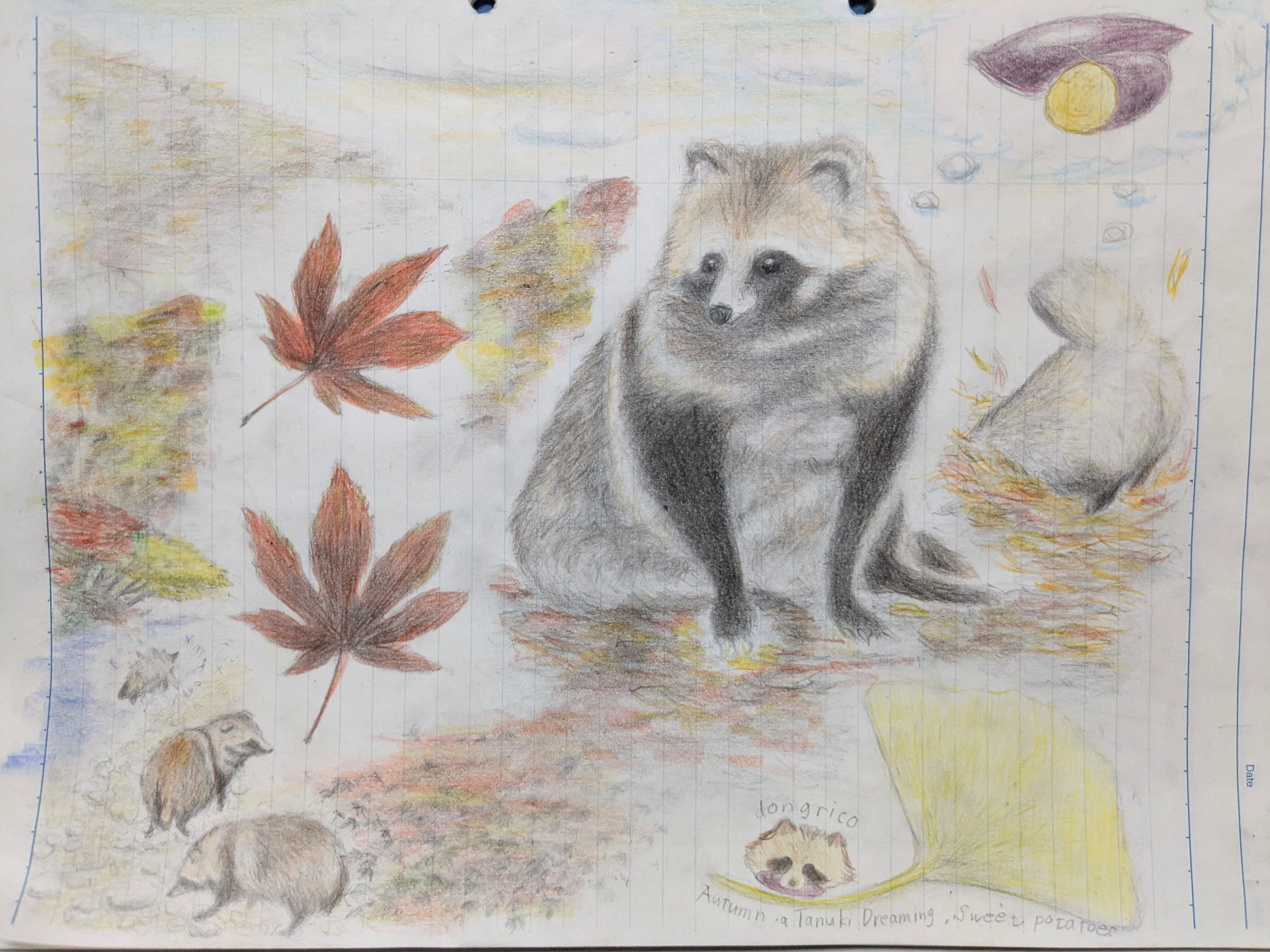 Tanuki Illustration 
