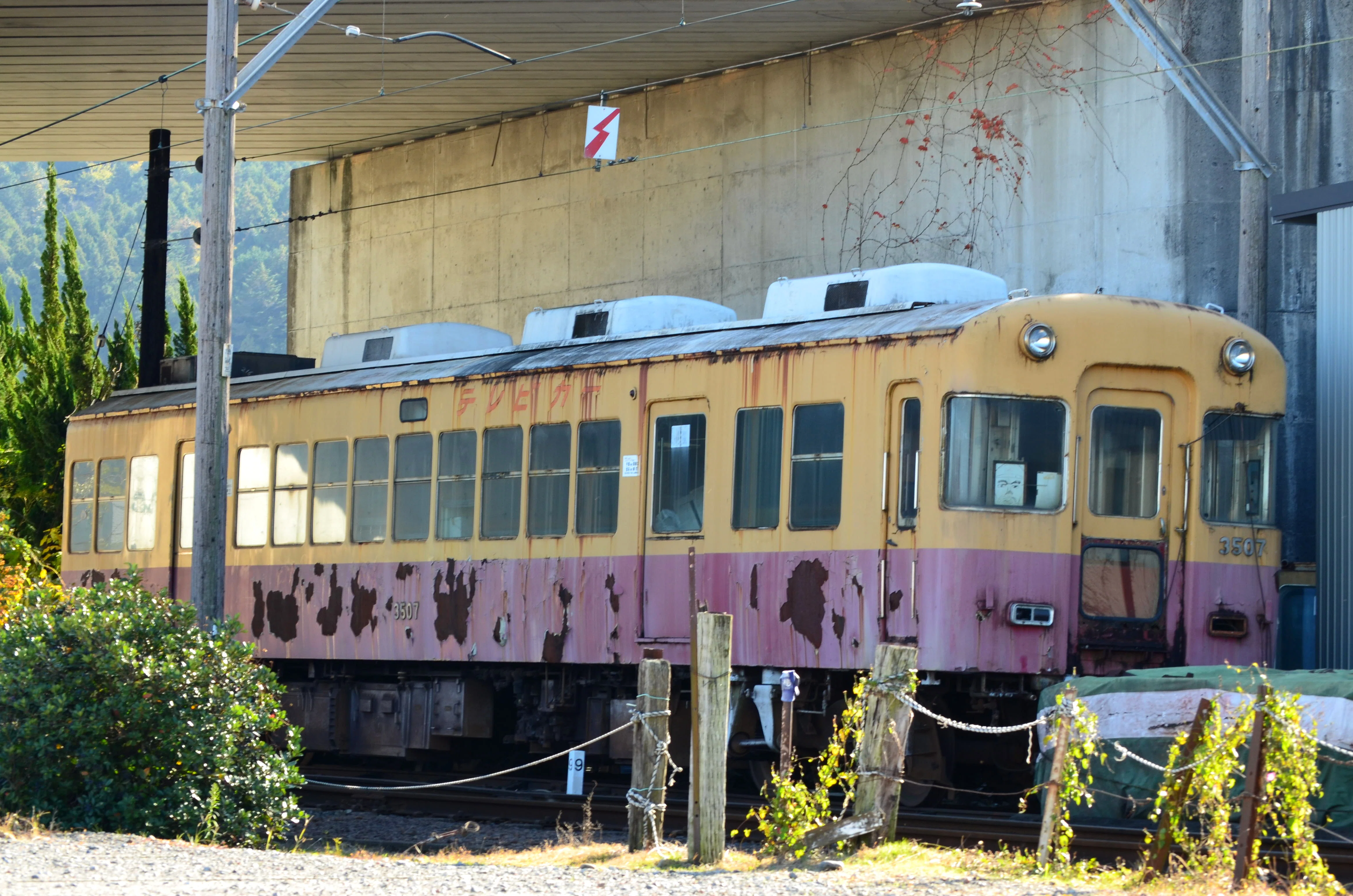 新金谷車両区の廃車体たち｜vivace115の写真館(2027年3月まで休館中)