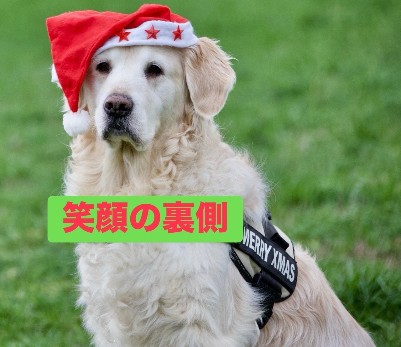 笑顔の裏側｜Team NOAH 〜生きづらさを笑い飛ばせ！〜