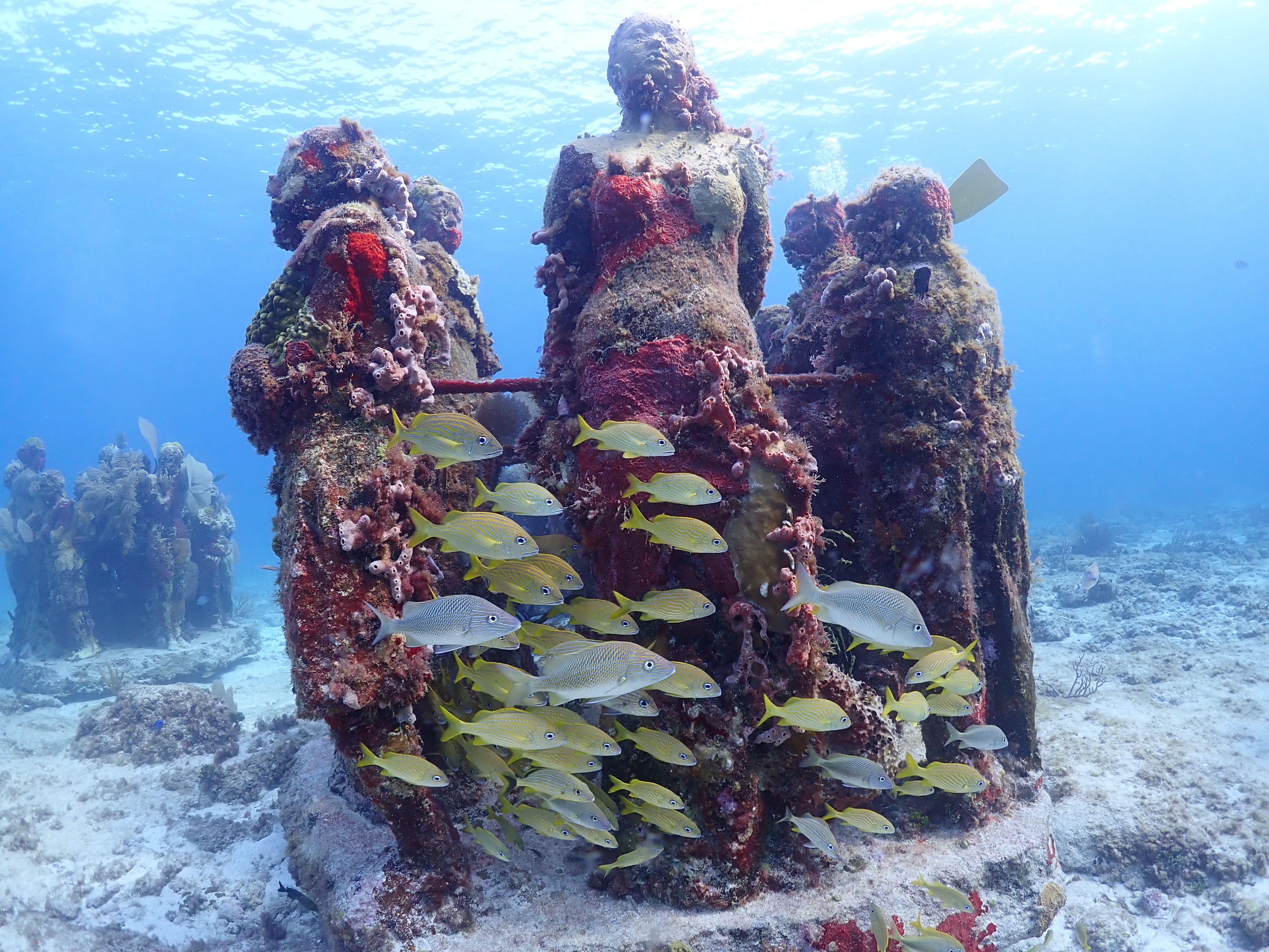 メキシコまでダイビングしに行った話②｜がれあ