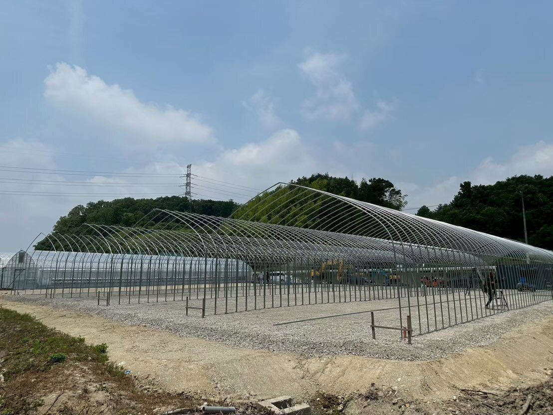 🍓やくもファーム 2シーズン目のご報告