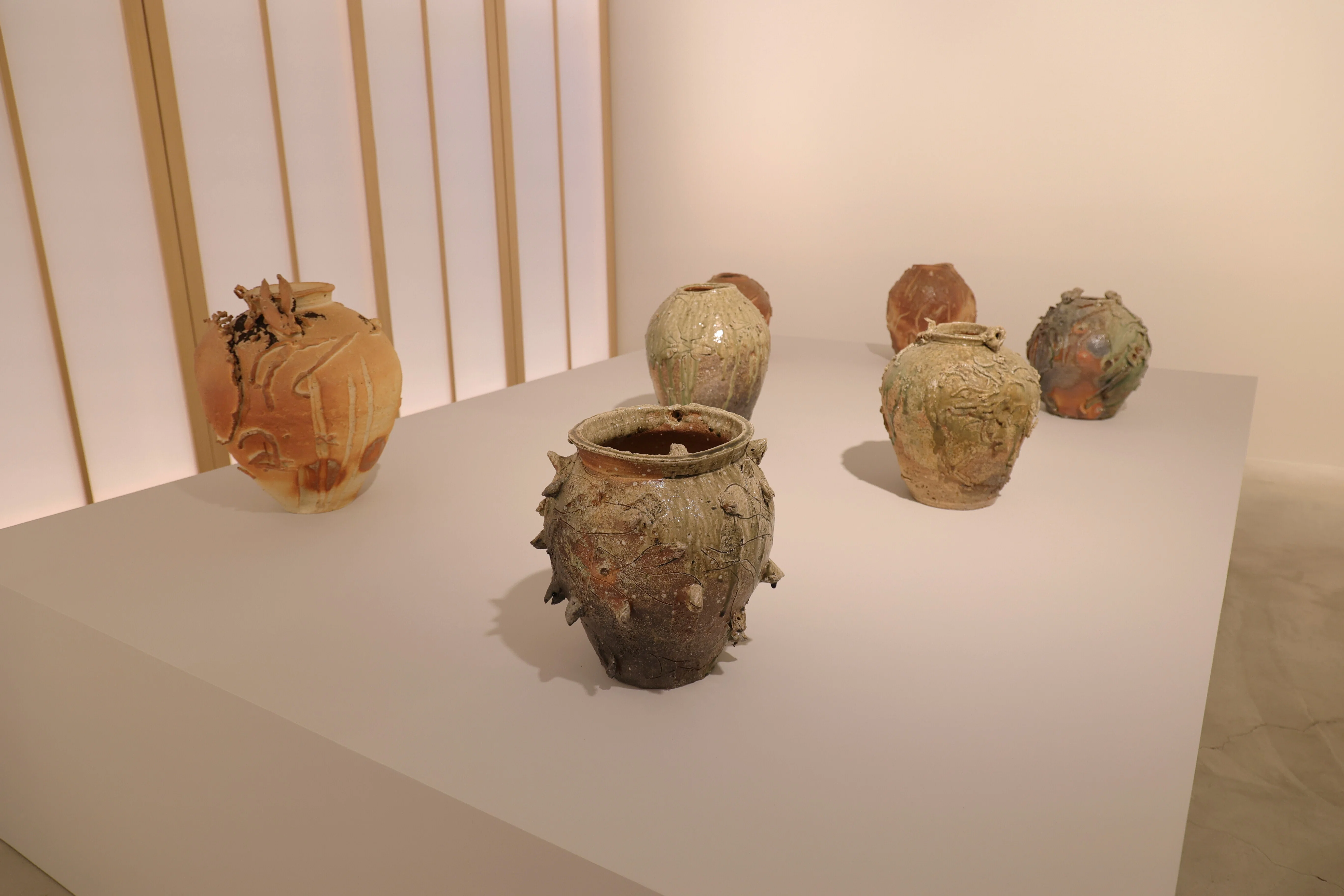 陶芸に生物が宿ったら -Miquel Barceló: Shigaraki Ceramics@Fergus
