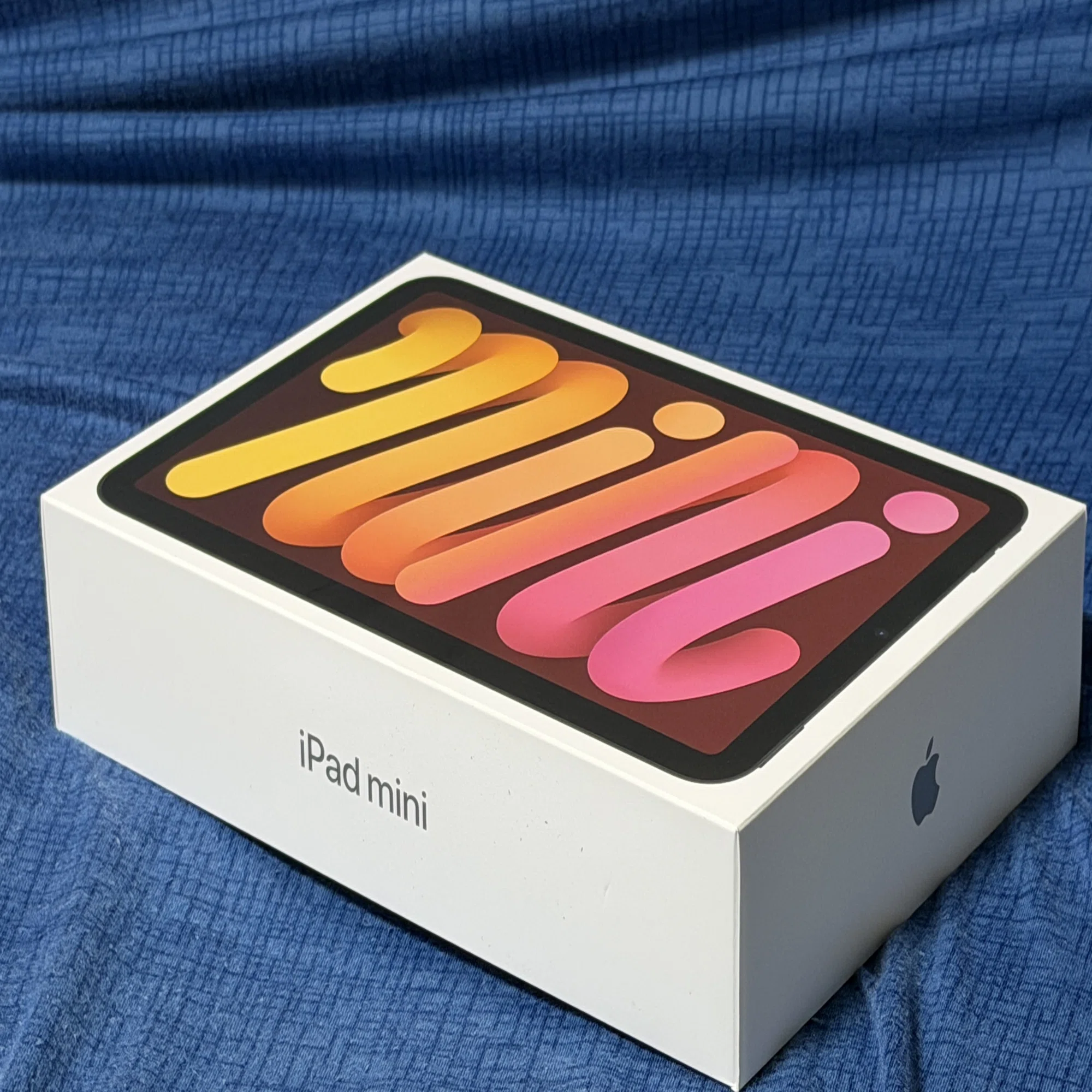 購入】 2024 Apple iPad mini with A17 Pro 512GB 〜 “性能”より“容量 