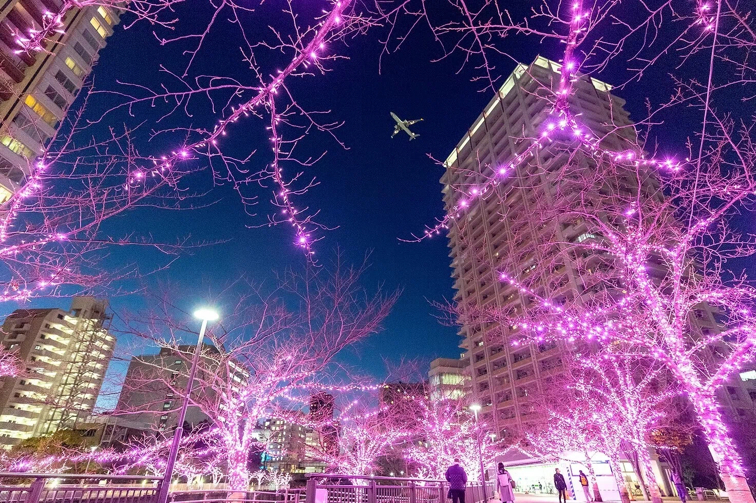 冬の夜空に輝くイルミネーション！品川周辺のおすすめスポットを紹介