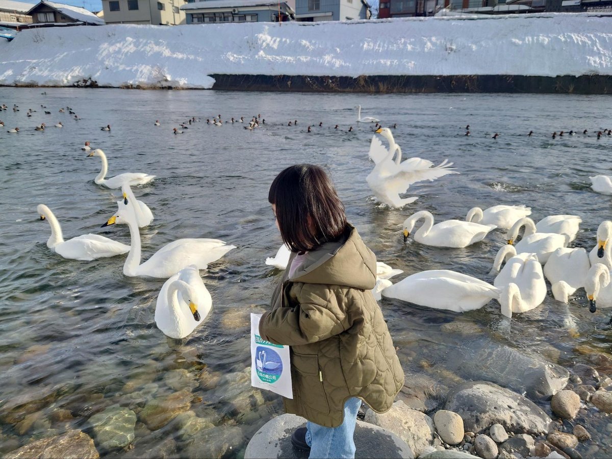 縁もゆかりもないまちに移住を決めました