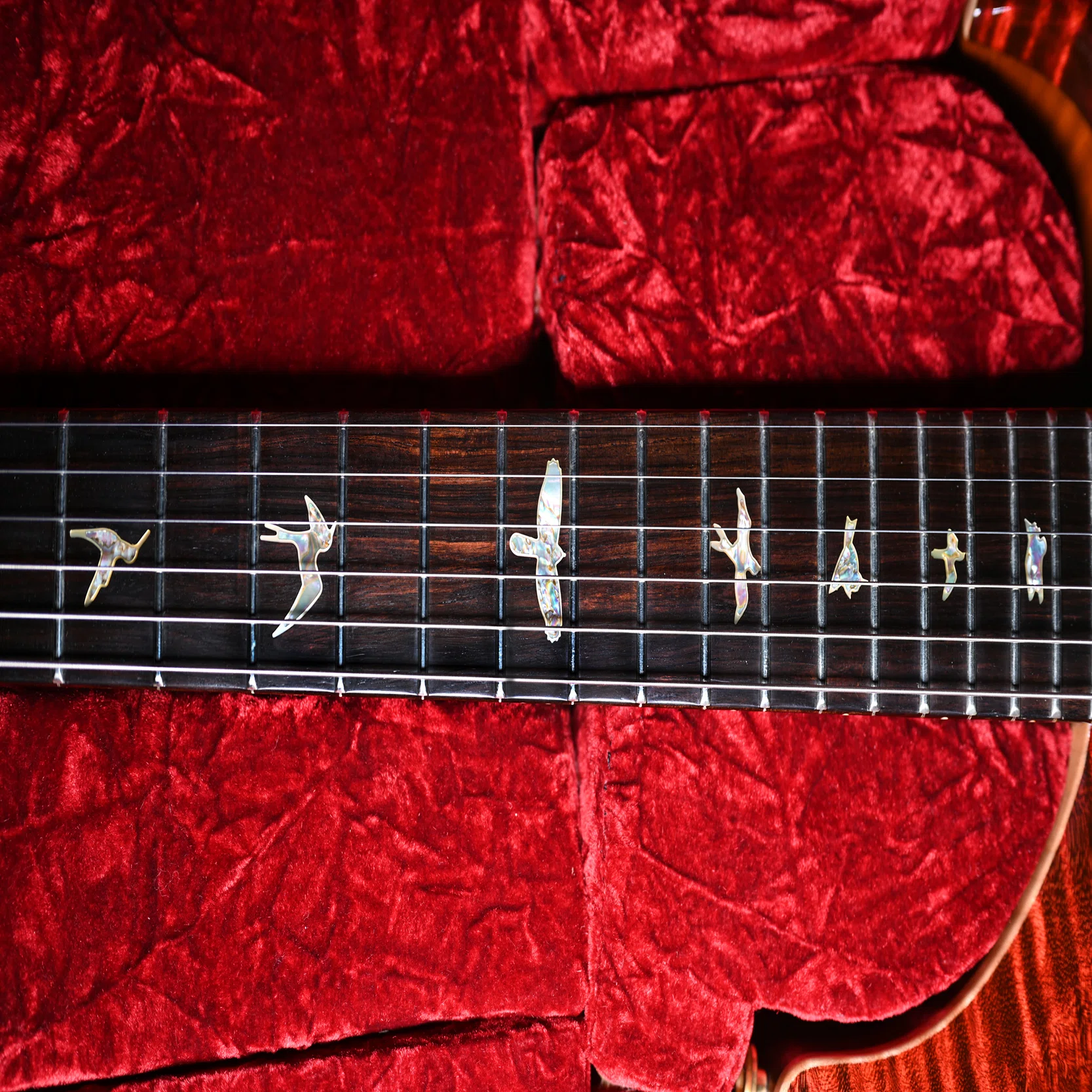 ハカランダを超える指板材。アフリカンブラックウッド PRS Private 