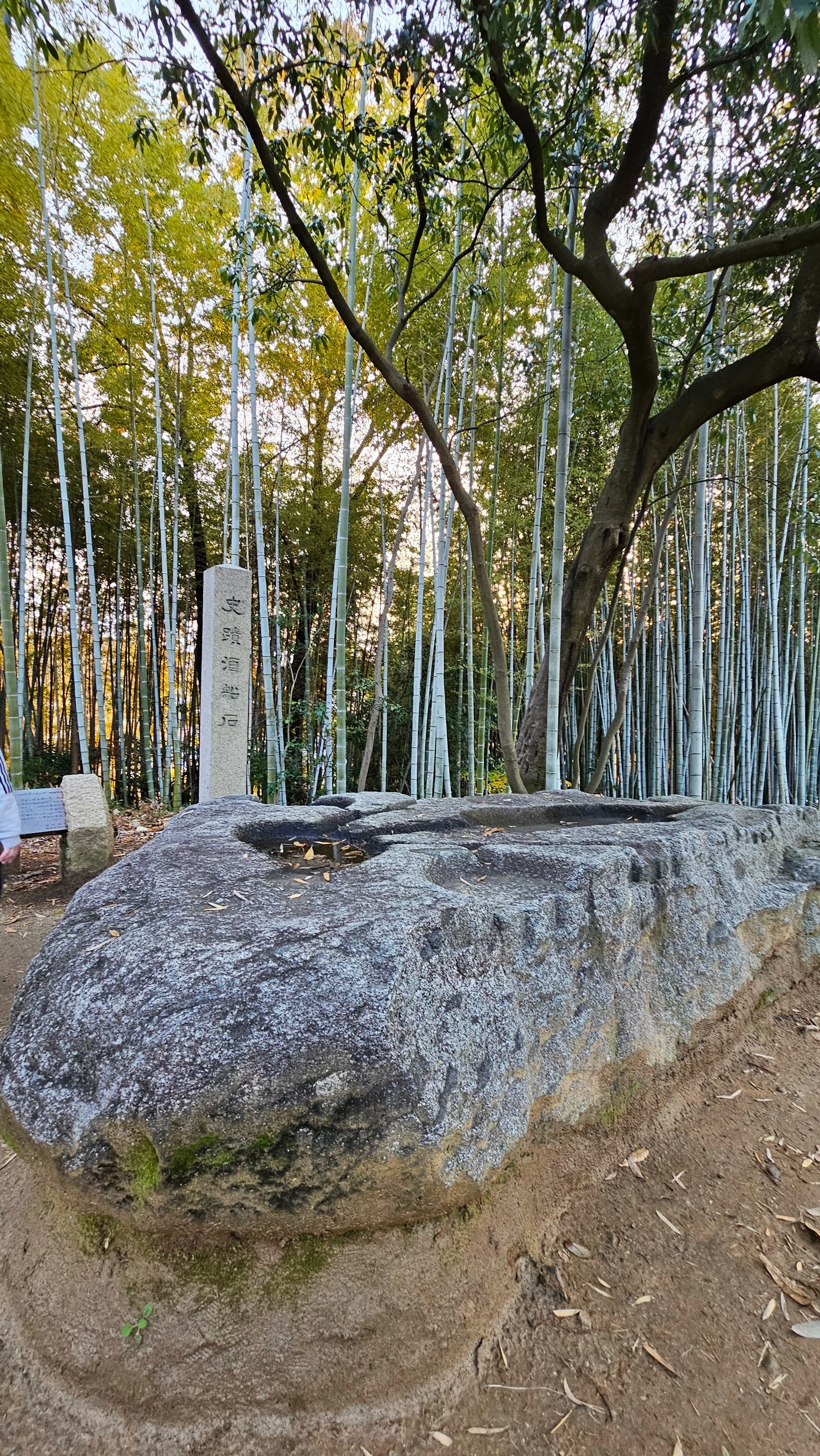 史跡散歩｜酒船石遺跡｜奈良・飛鳥｜斉明天皇が残した謎の石造物｜xicano