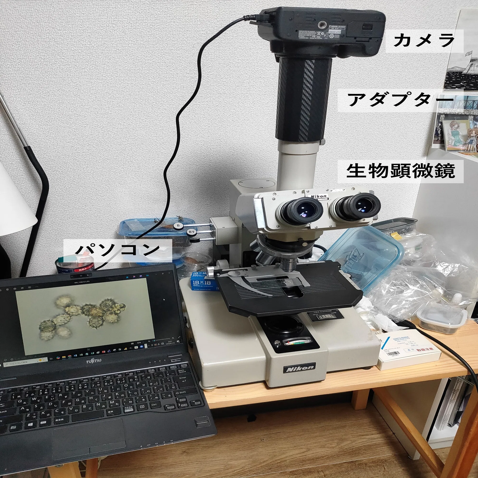 徹底解説】自宅の顕微鏡環境紹介【顕微鏡撮影】｜うるくと(Tsukuru)