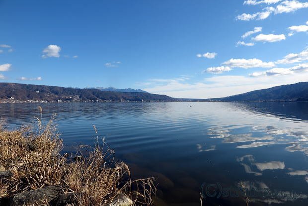 長野の自然 諏訪湖｜極楽鳥花植物園