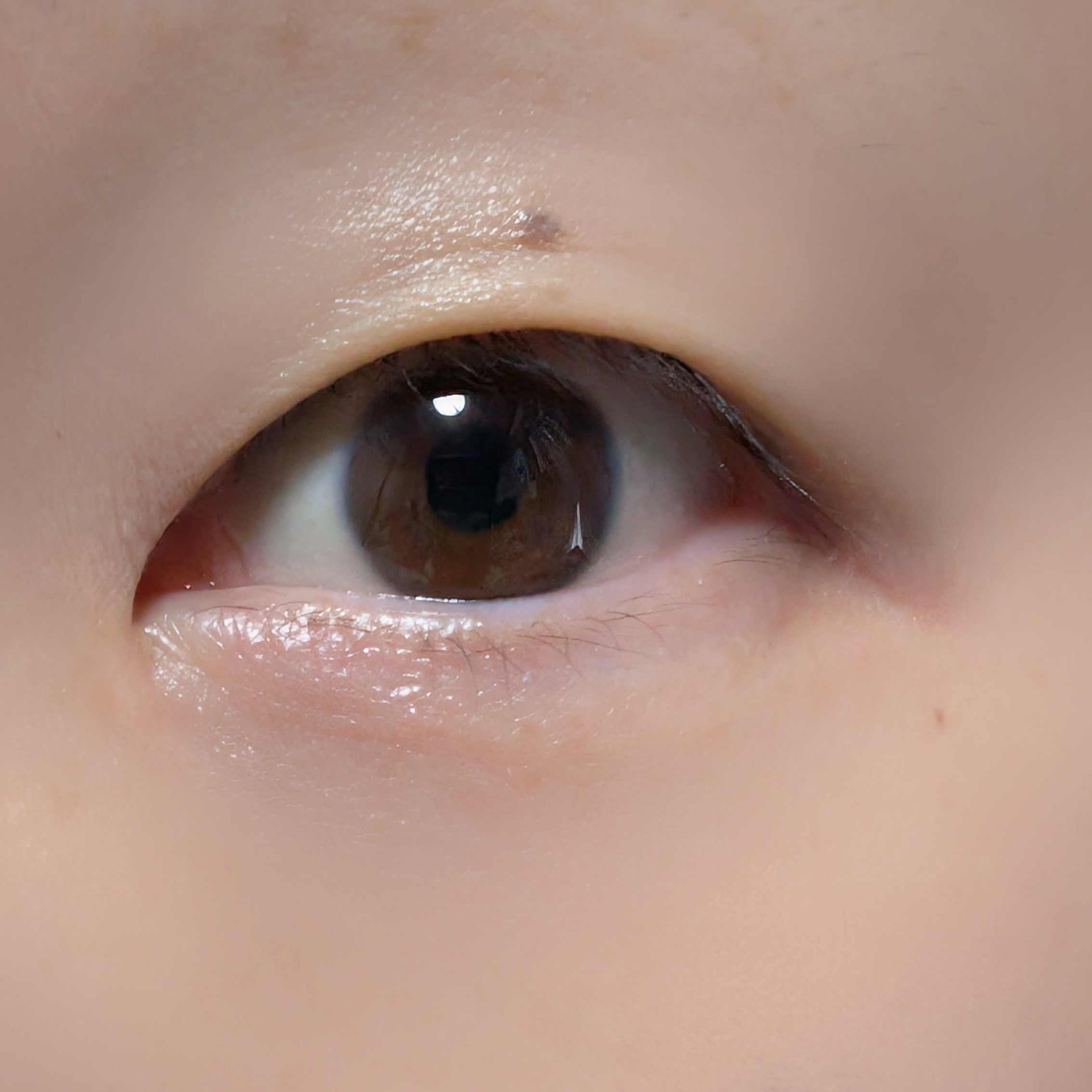 つけまつげで二重！｜らすてぃ