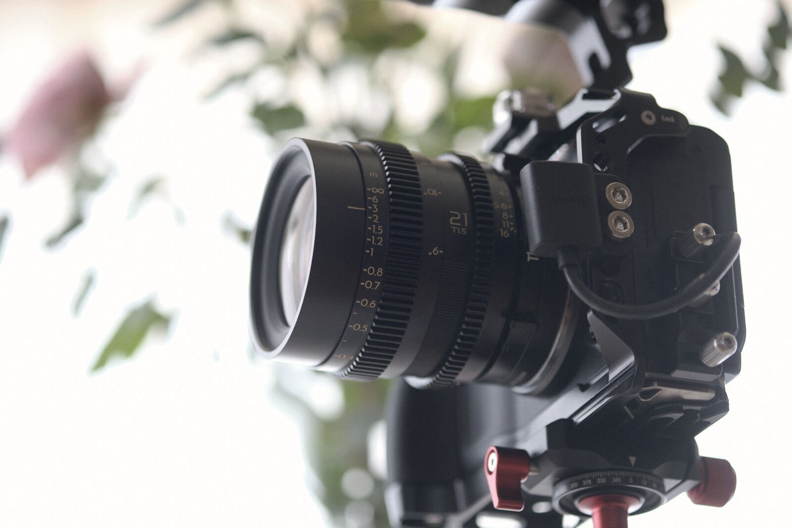 Nikon ZRというカメラの話｜エウスケ