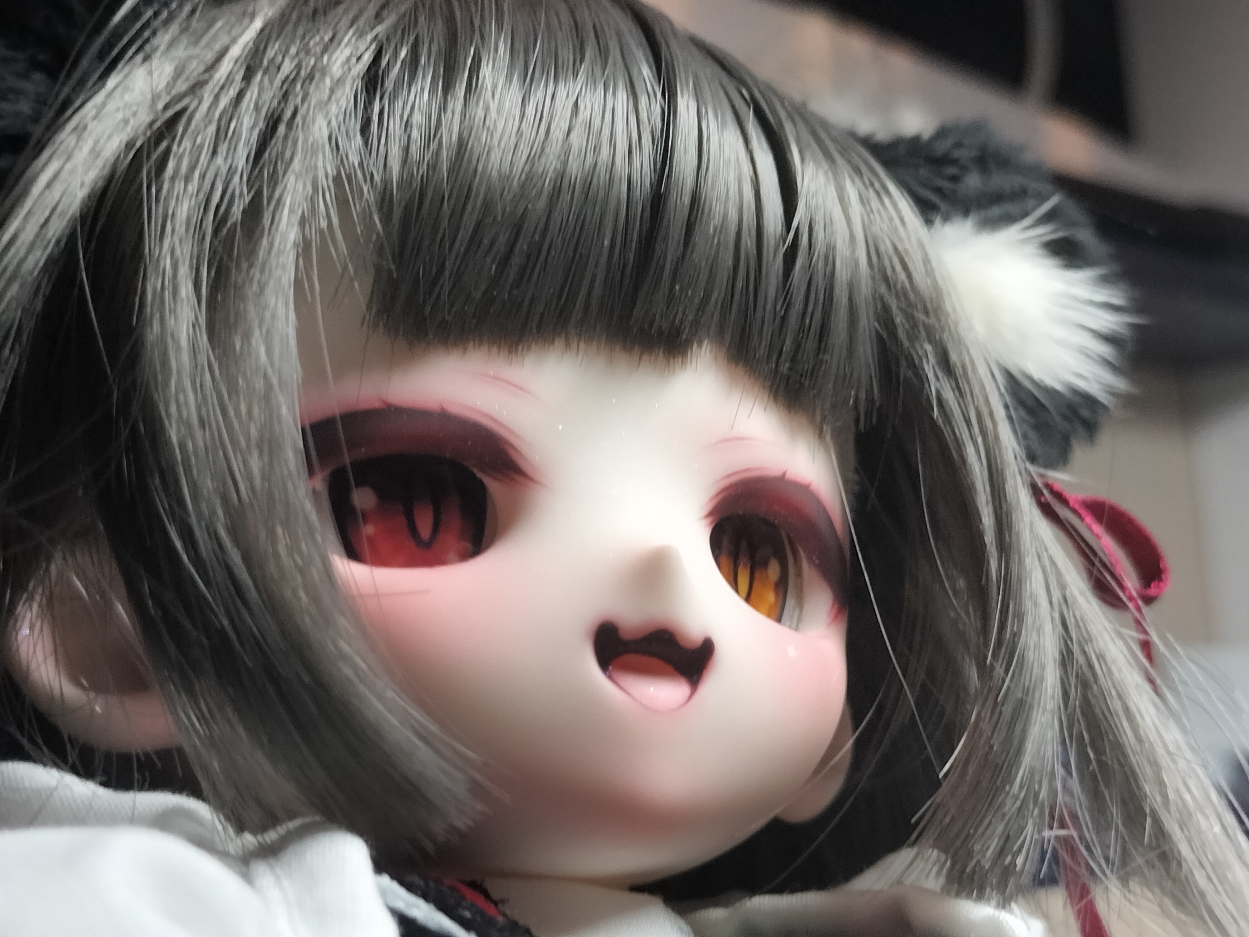 ケモミミが好きすぎて1/4ドールをお迎えした話｜ねこるく
