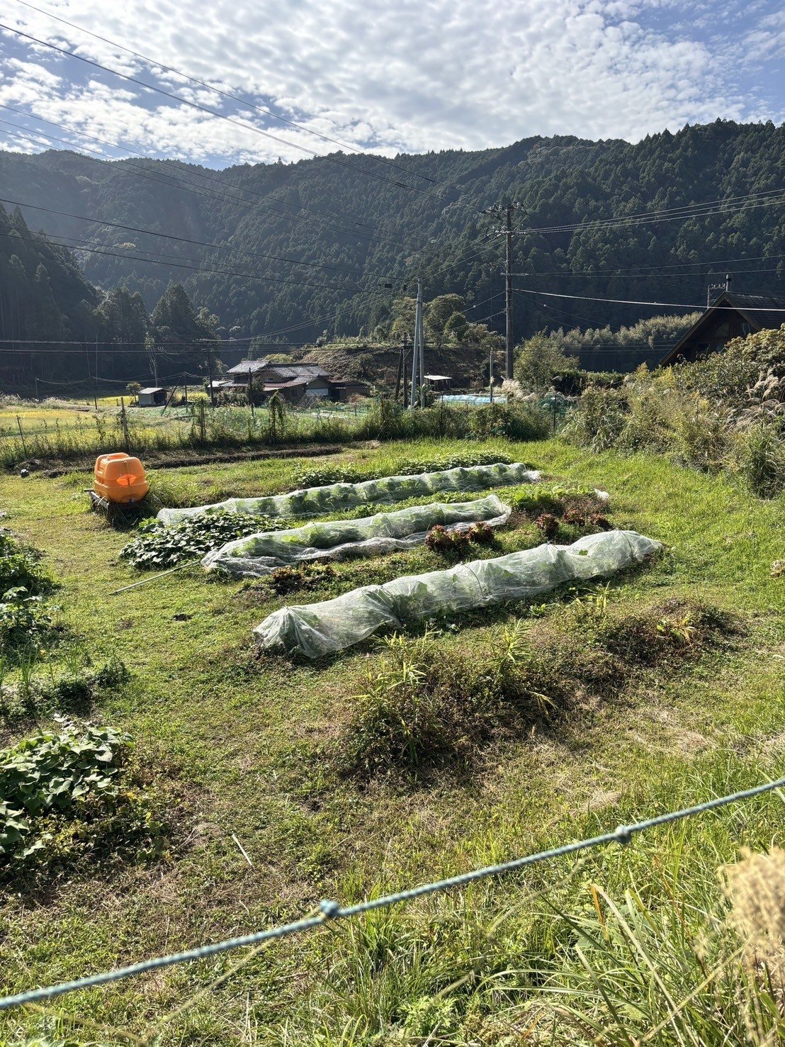 【Note】ペンションししくい大収穫祭り、息子2人と参戦してきた話
